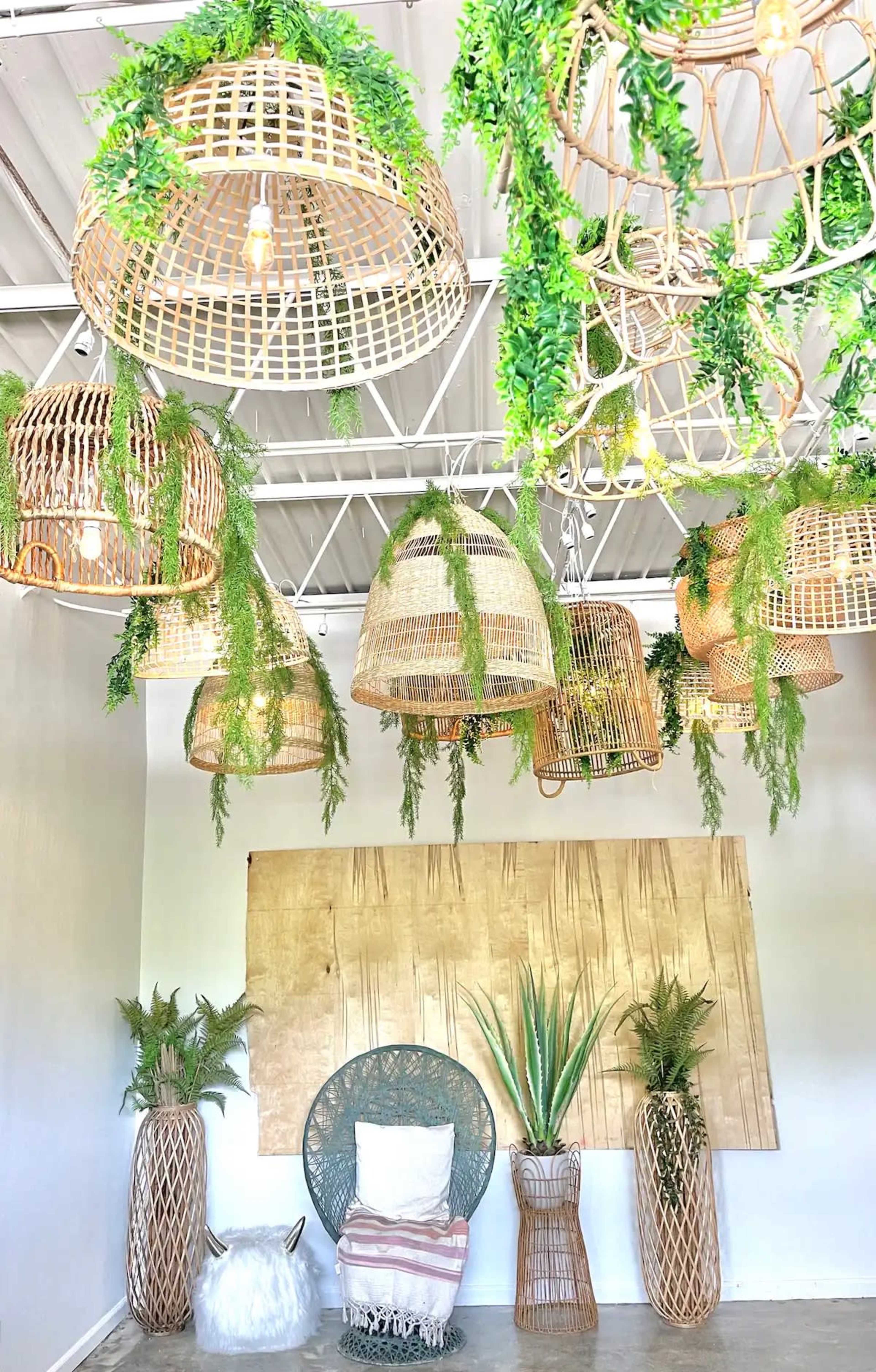 The image features a brightly lit room adorned with hanging rattan light fixtures and green foliage, complemented by decorative plants and a seating area against a wooden backdrop.