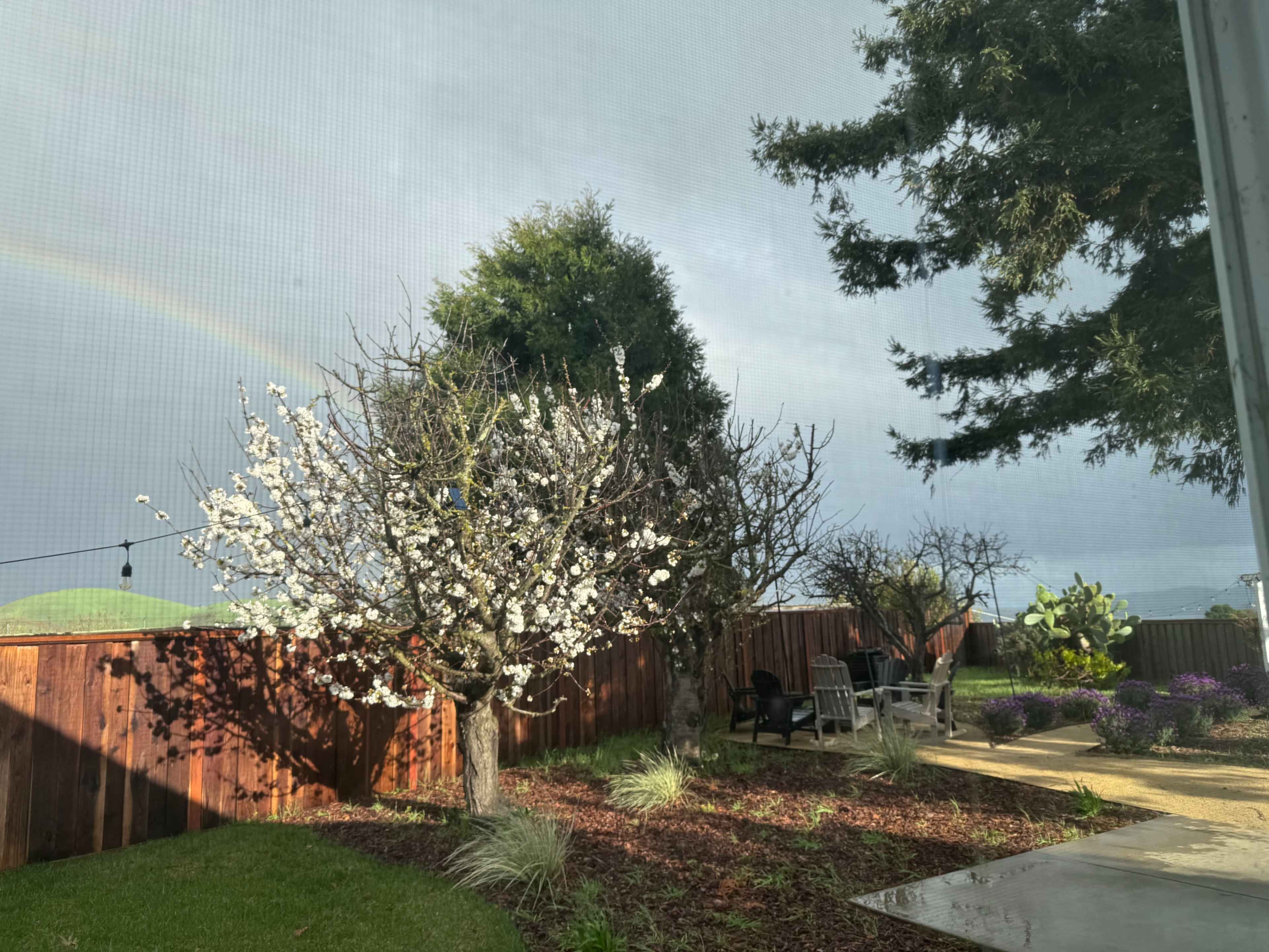 Hillside Garden with Views Image in Vallejo, Vallejo, CA