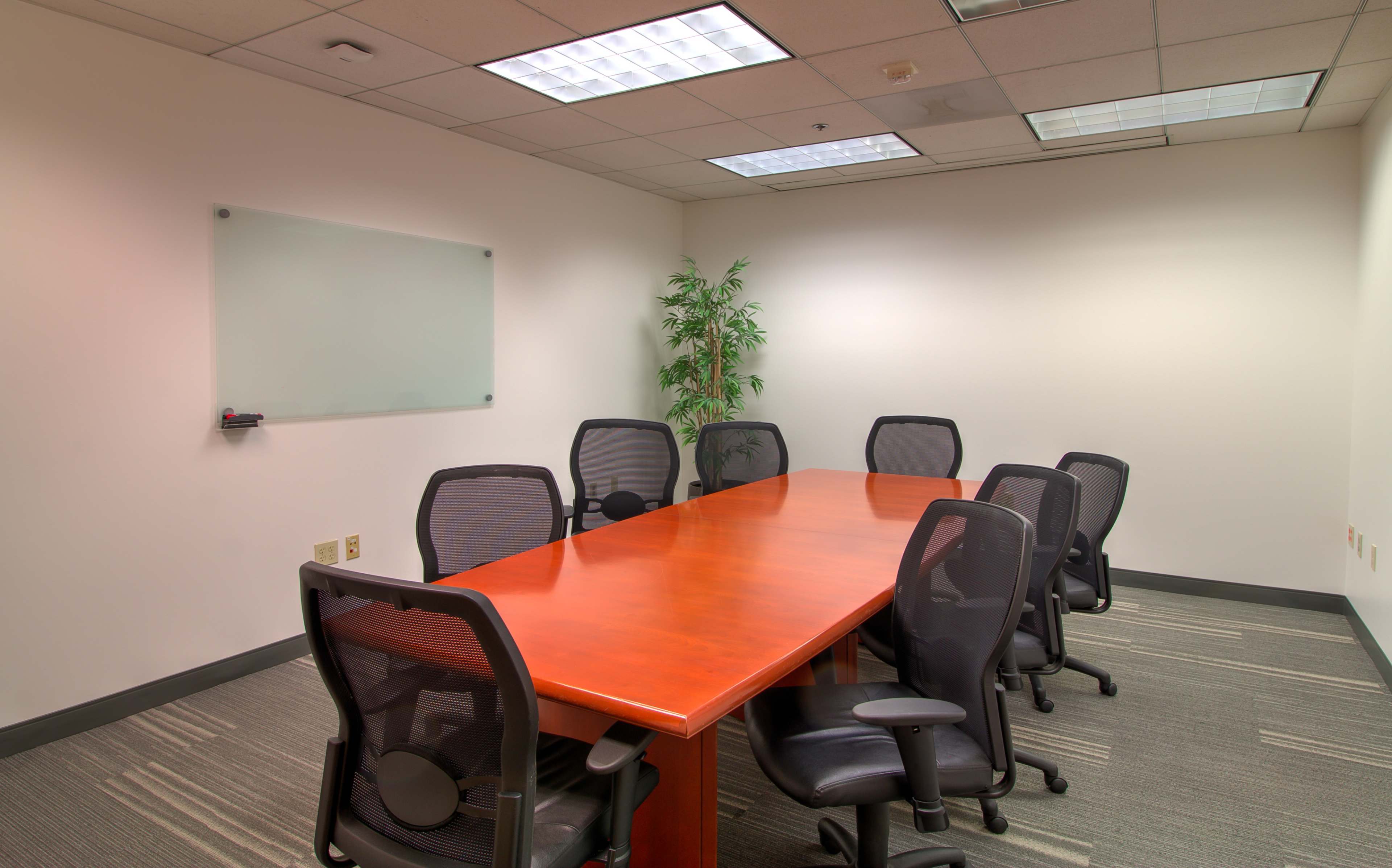 A conference room with a long wooden table surrounded by eight black ergonomic chairs and a small green plant in the corner.