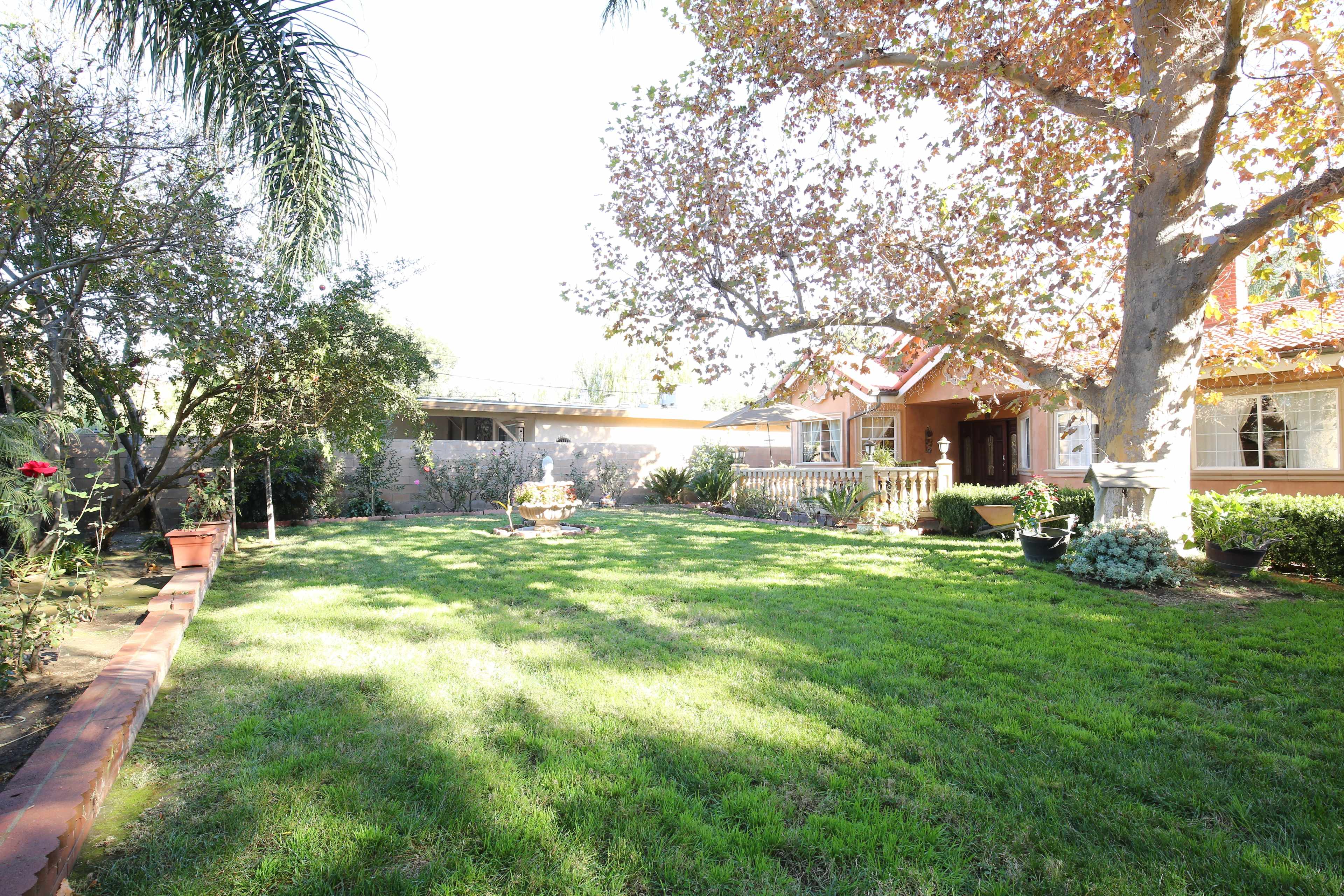 The image shows a grassy backyard featuring a large tree, a flower bed along the edge, and a house with a porch in the background.