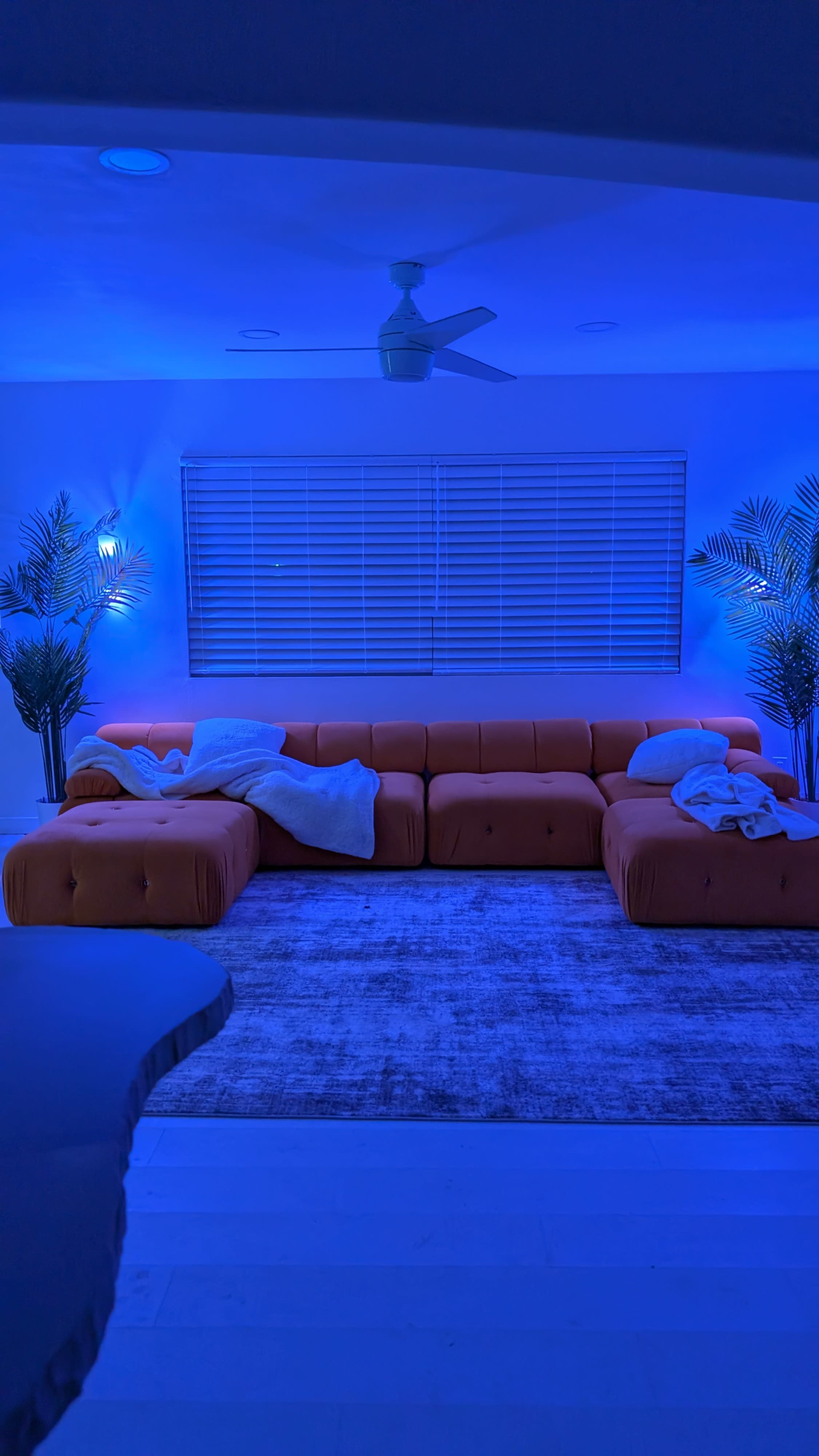 XF LIGHT LOUNGE PALM SPRINGS Image in Palm Springs, Palm springs, CA