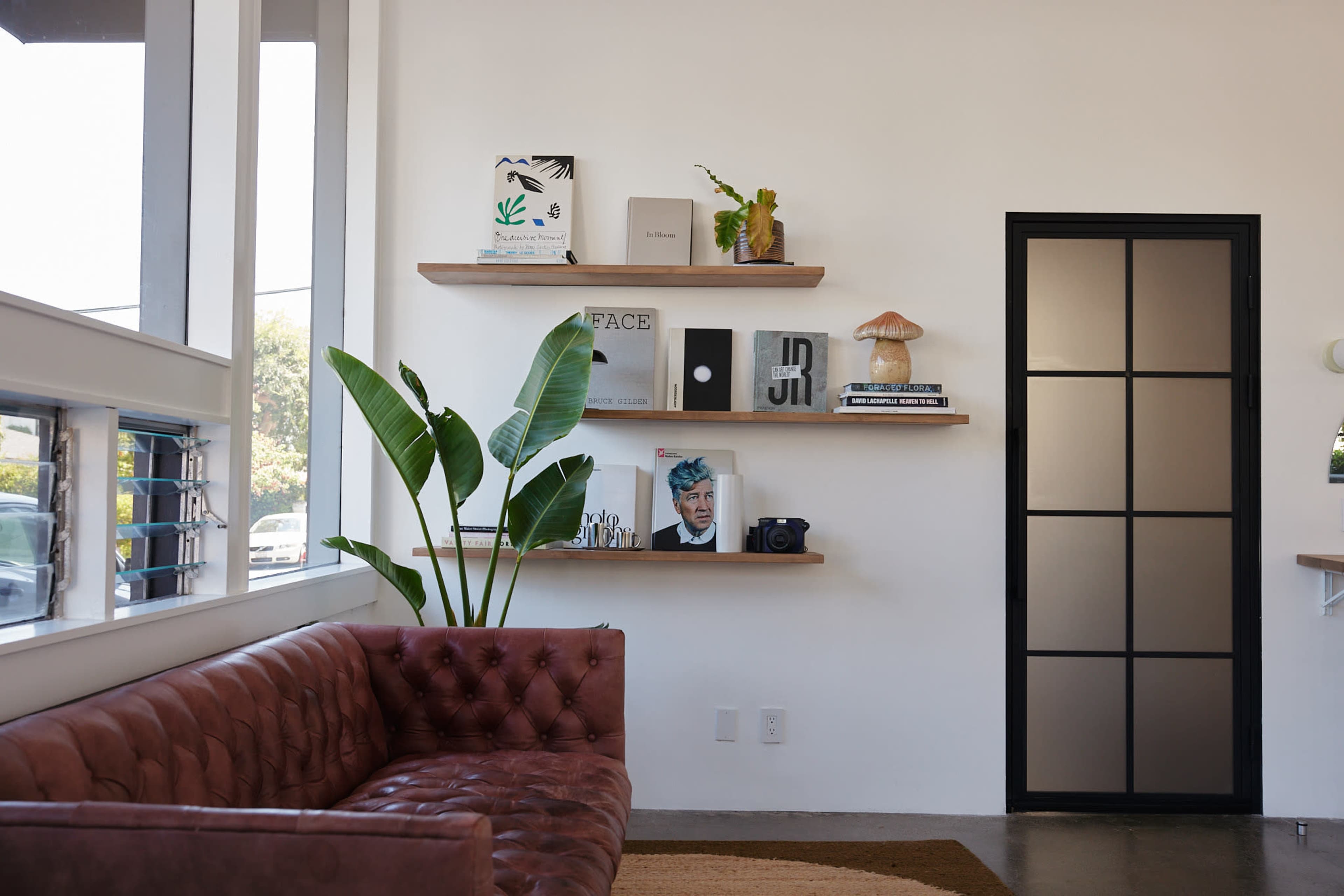 A brown leather couch faces a wall with floating wooden shelves displaying books, plants, and a decorative mushroom, alongside a black-framed glass door.