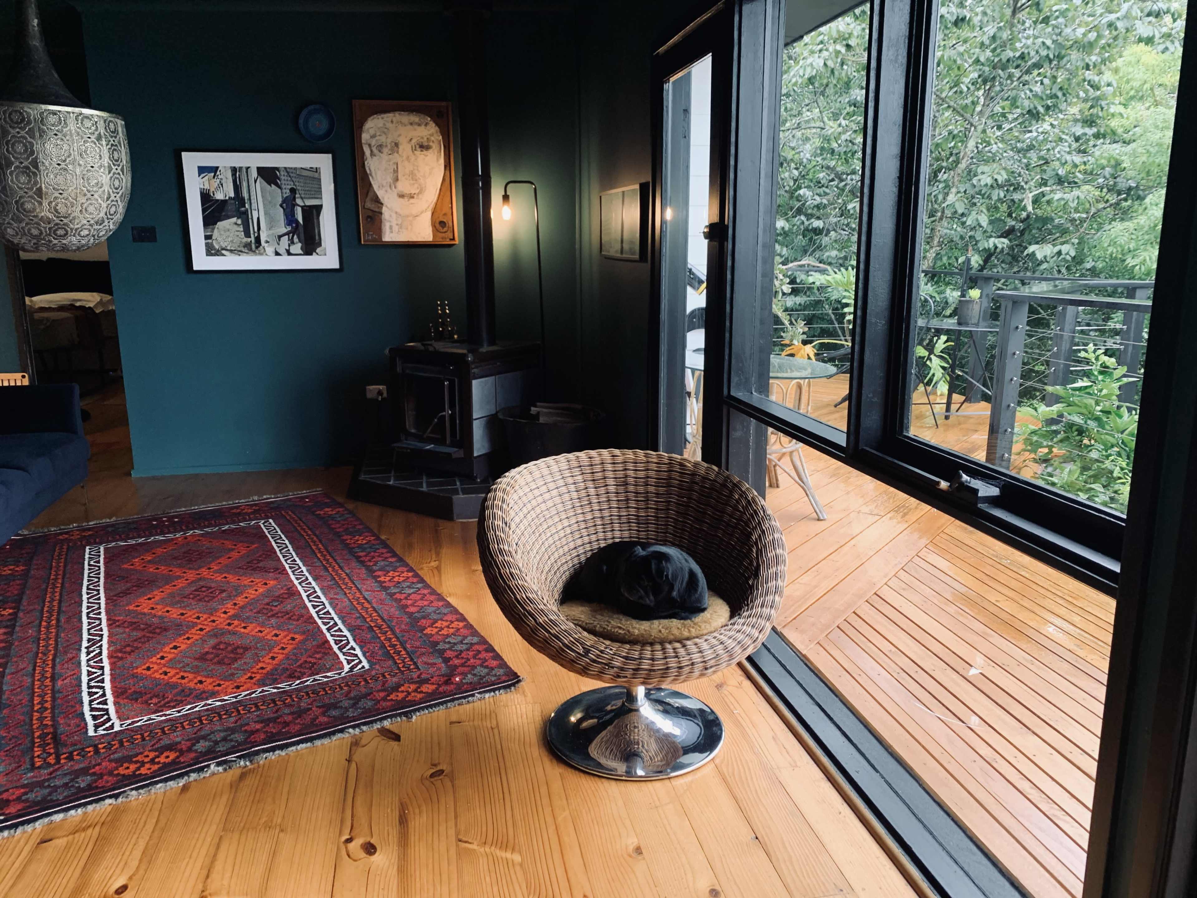 A black dog rests in a round wicker chair beside a large window overlooking a wooden deck and greenery.