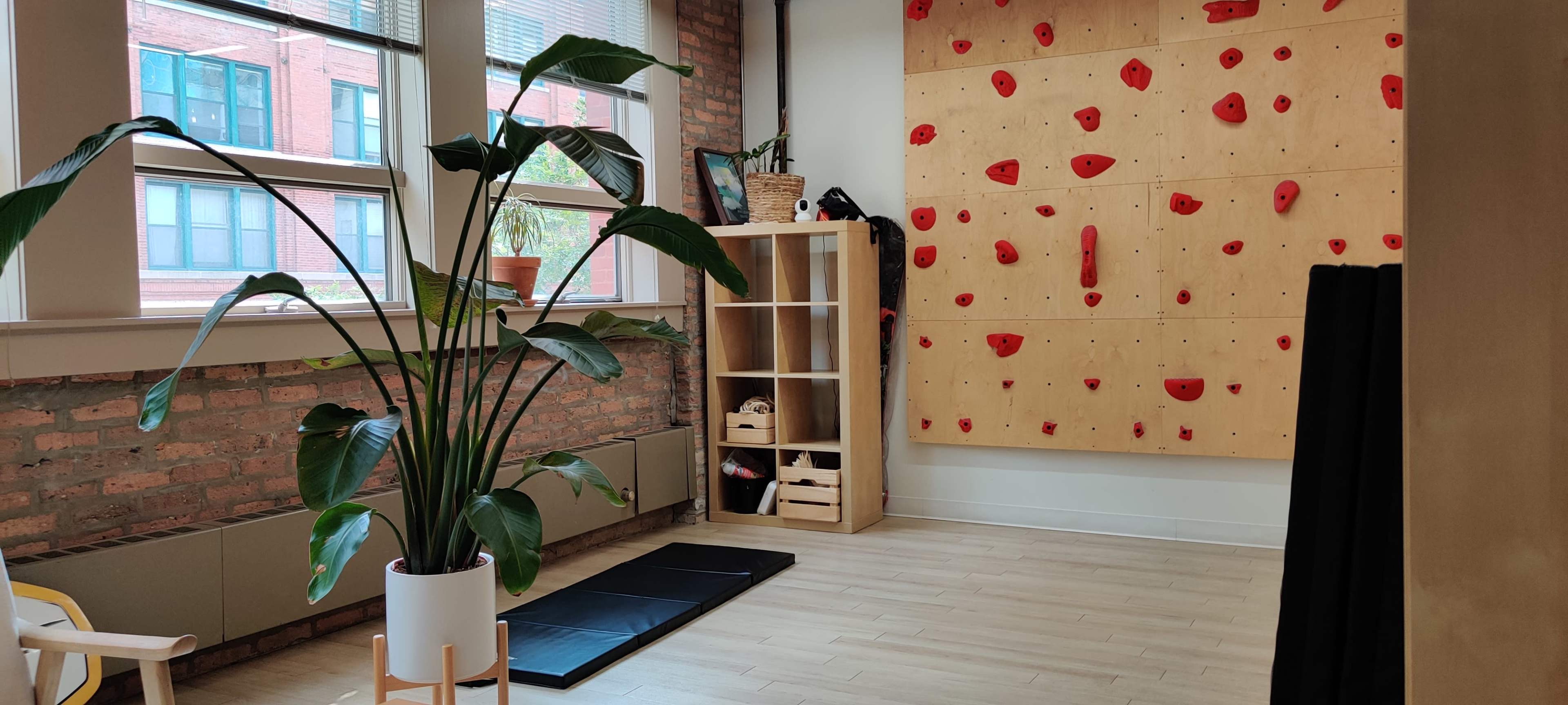 A room with a climbing wall, a large plant in a pot, a shelving unit, and a padded mat on the floor.