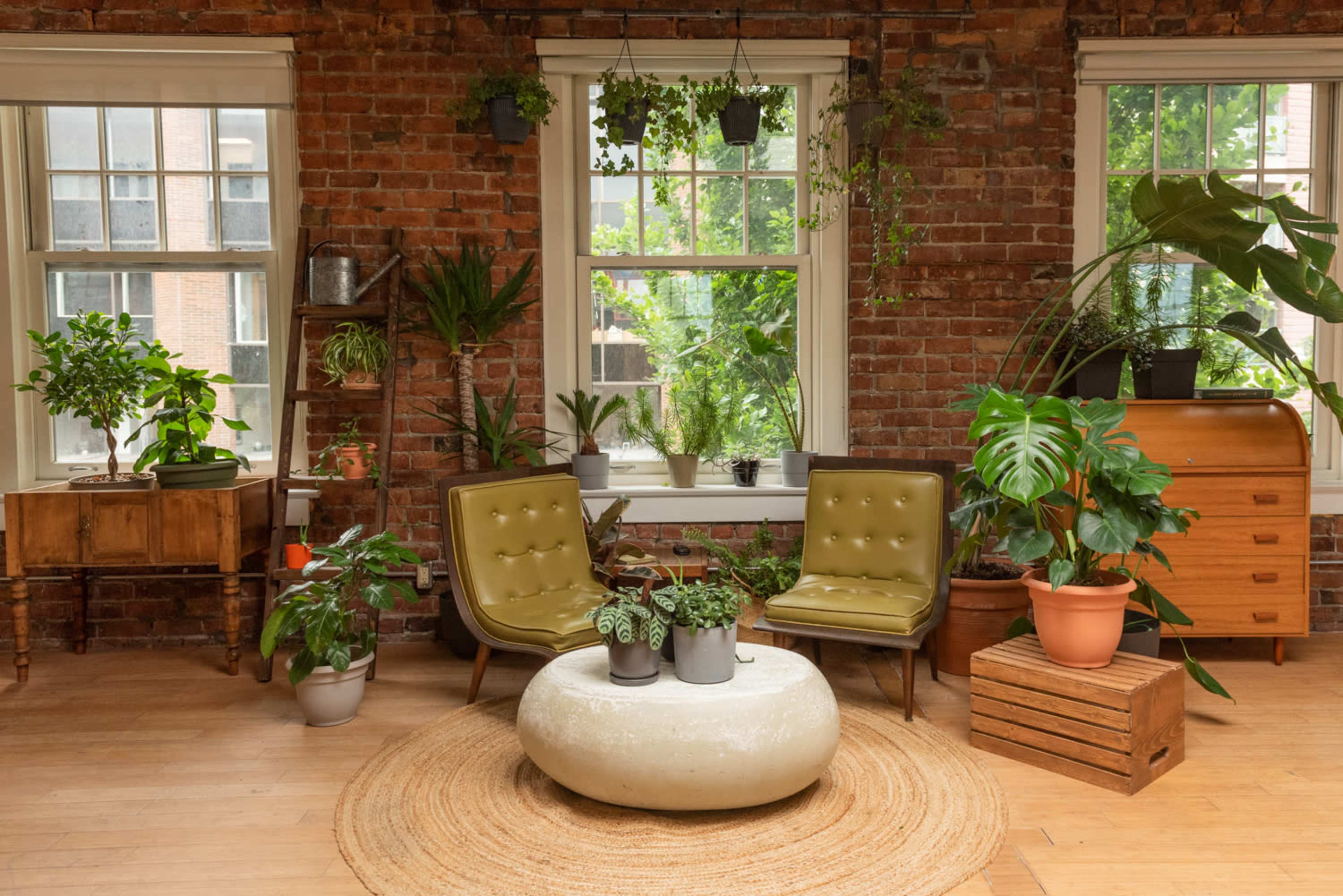 A cozy living space with exposed brick walls, two green chairs, various plants, and a round coffee table in the center.