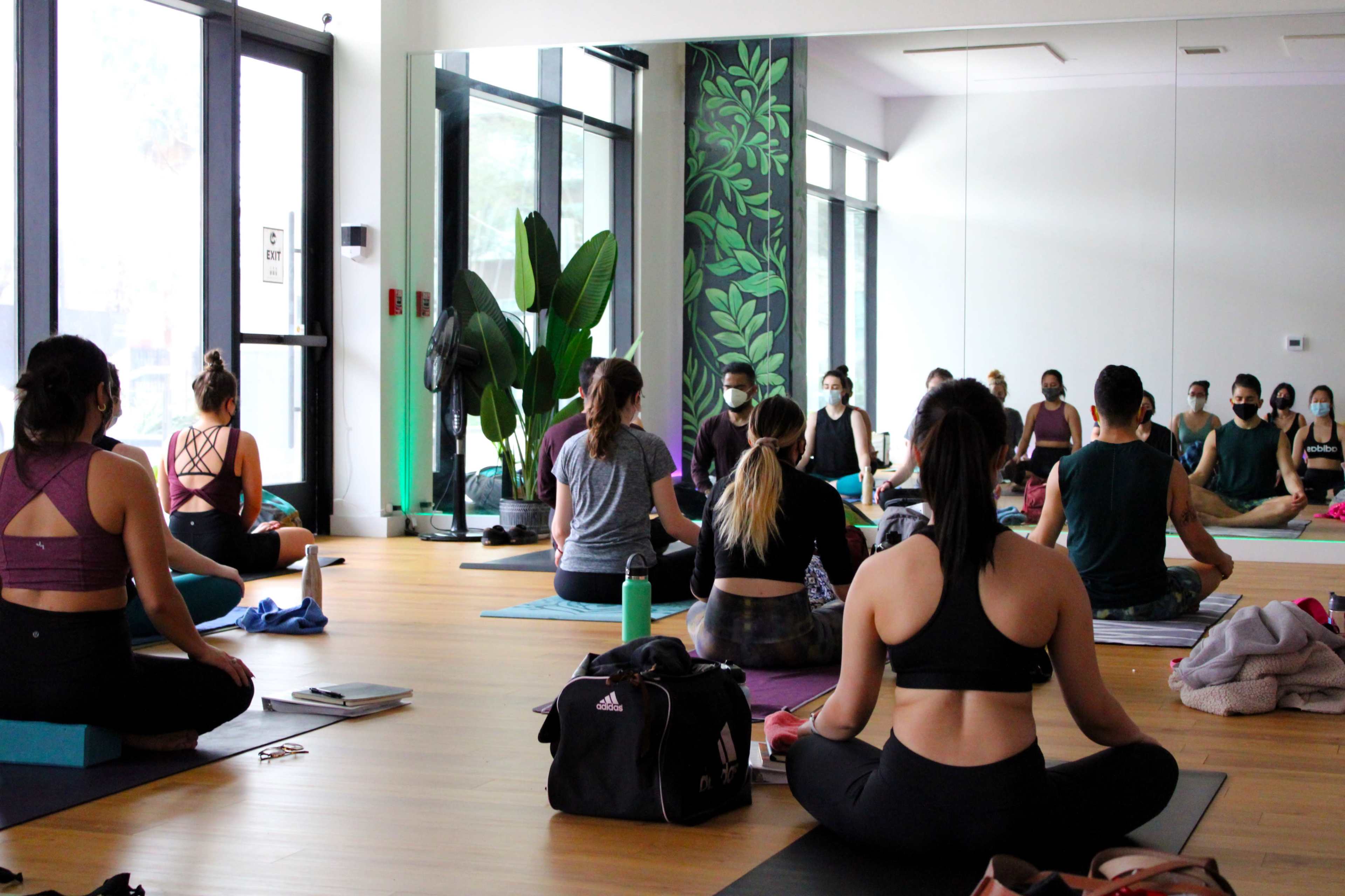 Midtown Yoga Studio with Natural Light Image in South Central Houston, Houston, TX