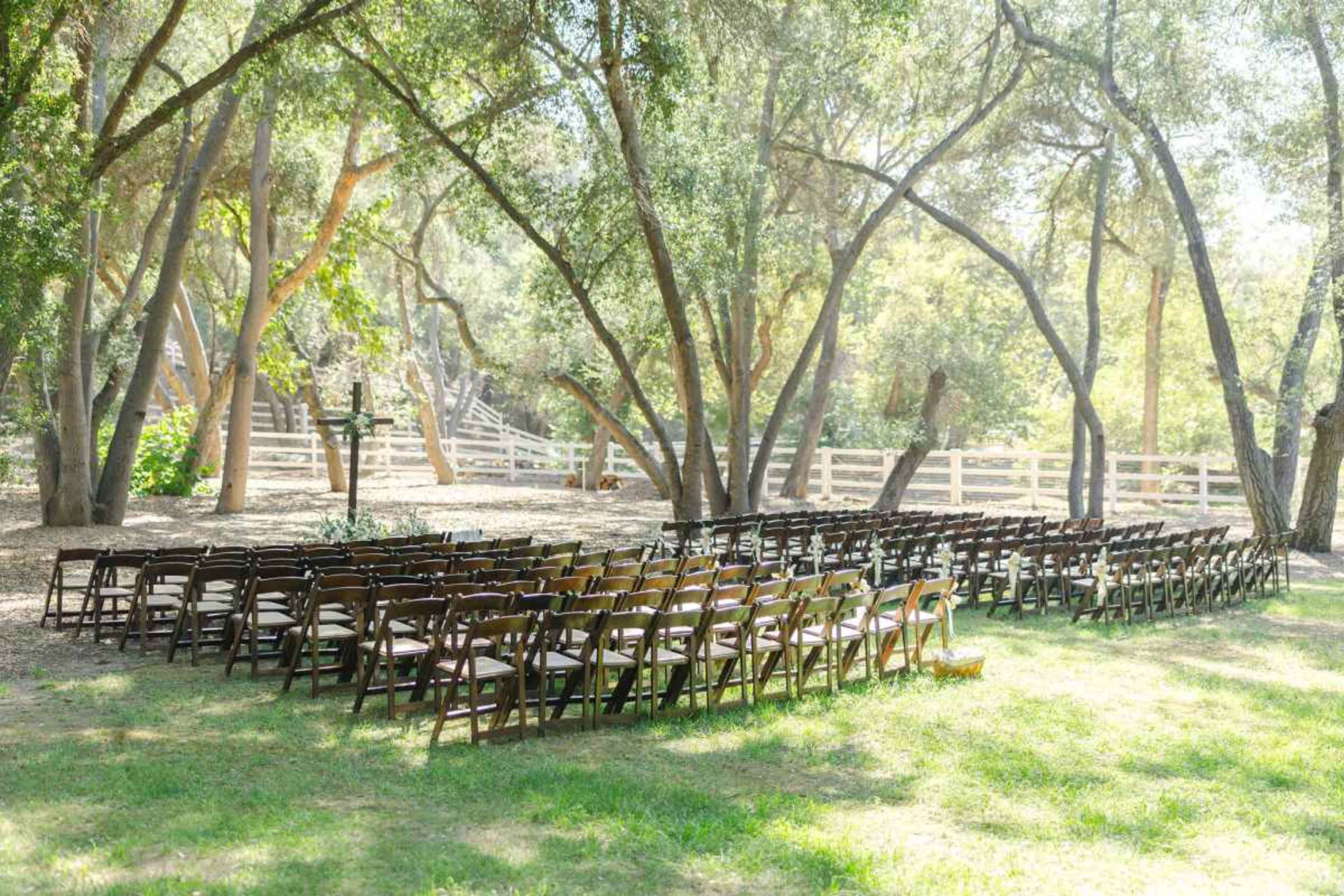 The image shows a neatly arranged set of wooden chairs positioned in rows under trees in a grassy outdoor area.