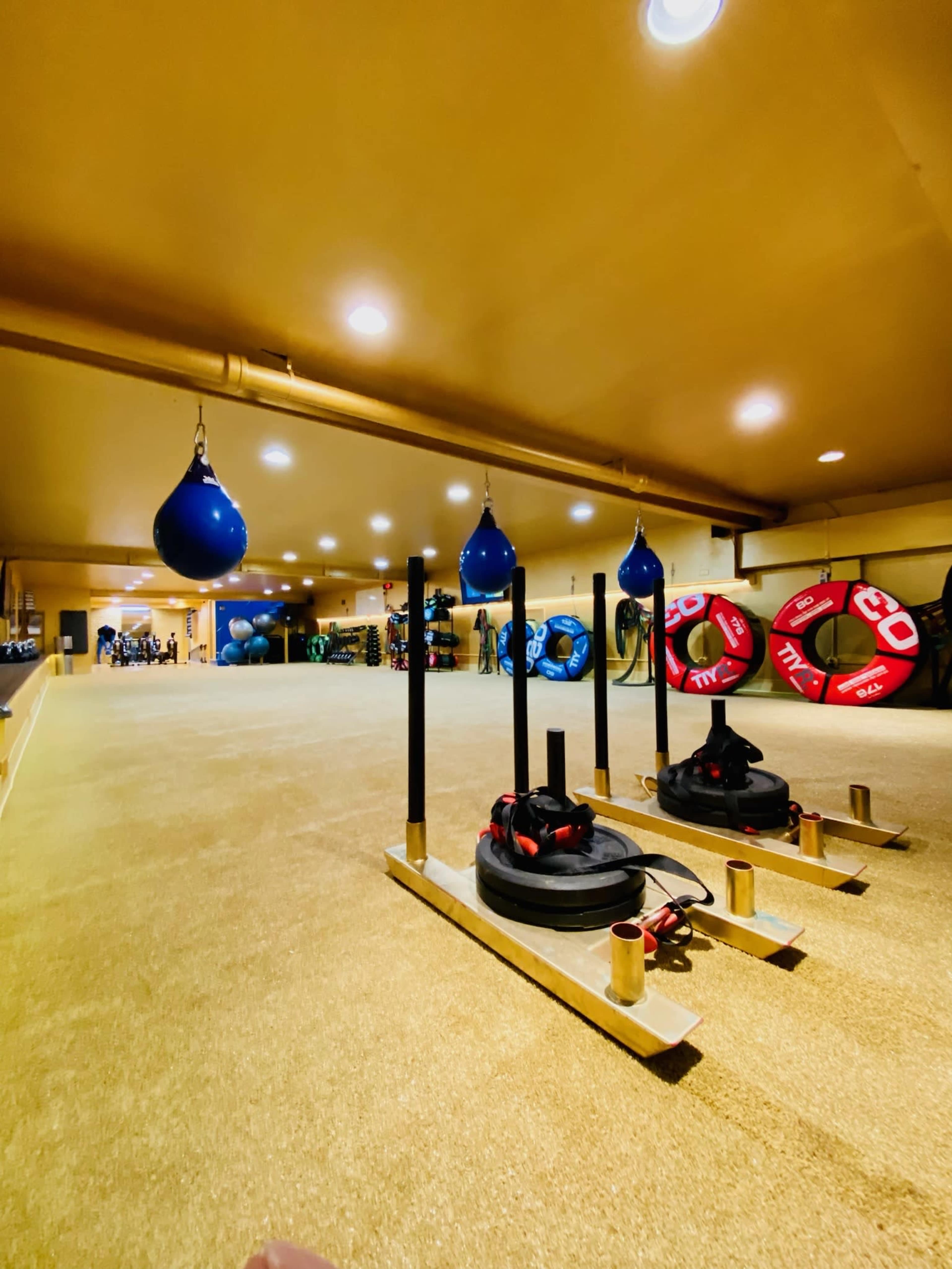 Premier Fitness/Dance/Boxing/ Massage Studio Image in Lake View, Chicago, IL