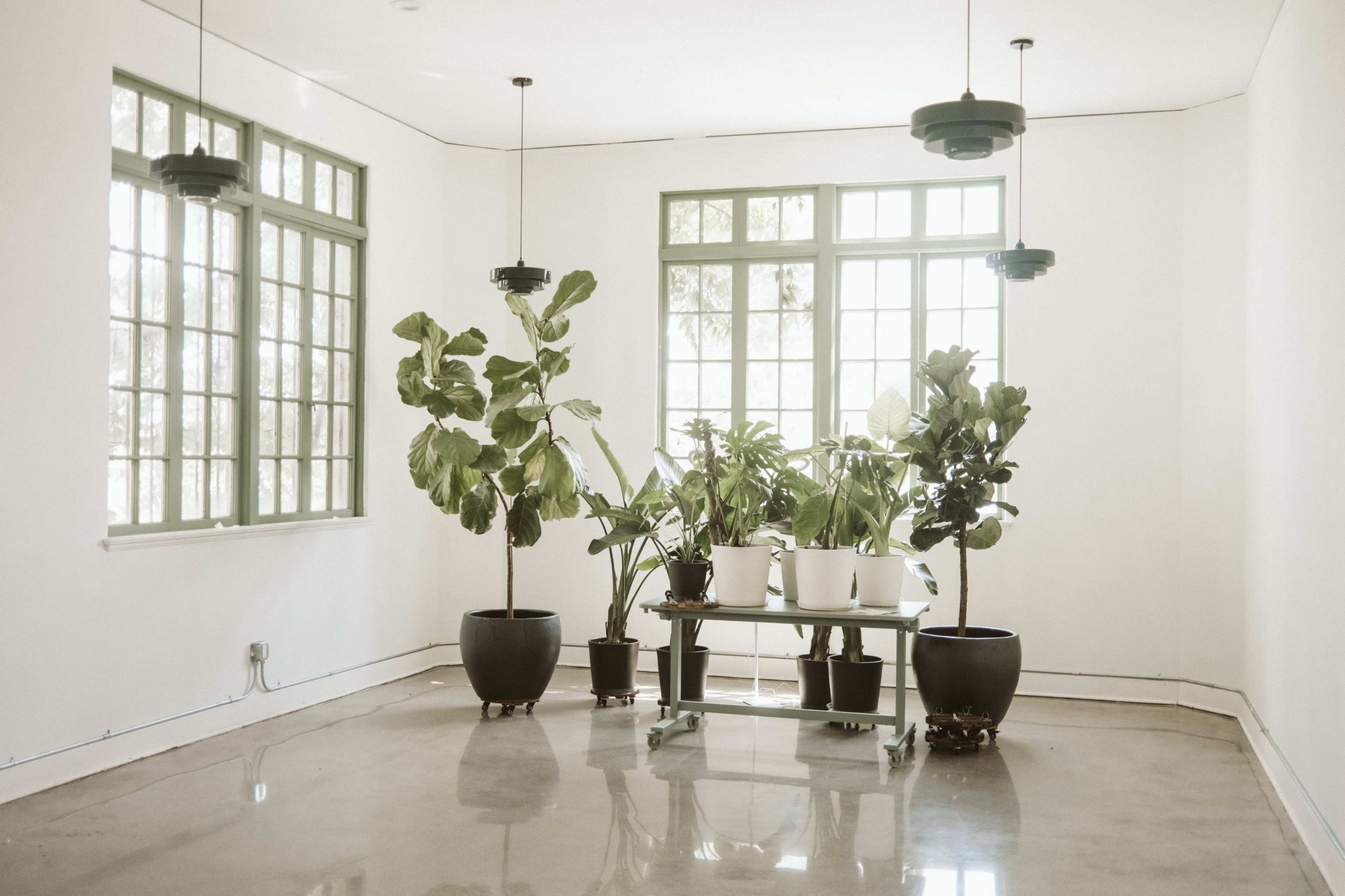 Downtown Art Deco Image in New Tacoma, Tacoma, WA