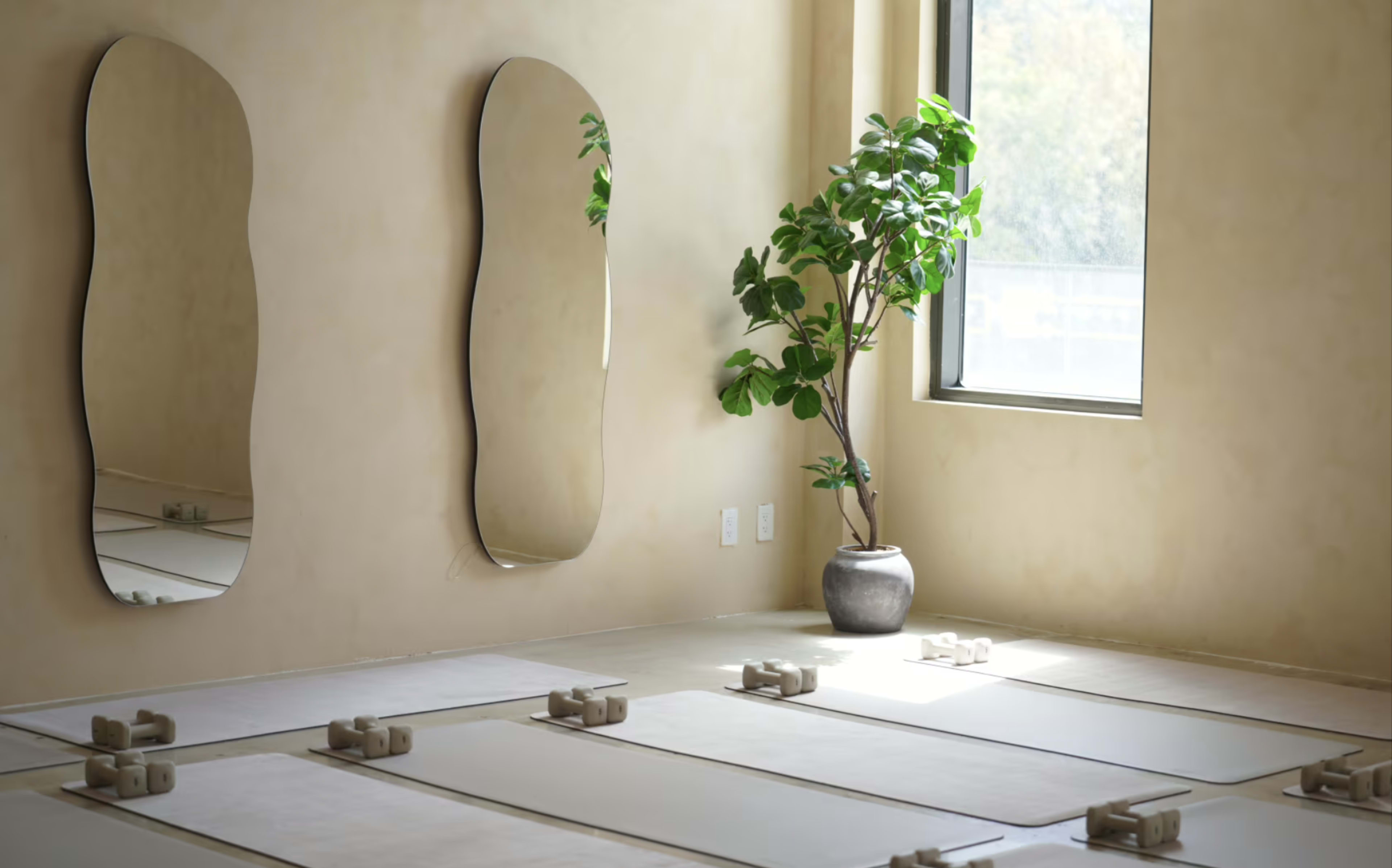 The image shows a serene yoga or meditation studio with two mirrors on the wall, a potted plant in the sunlight, and several mats arranged on the floor.