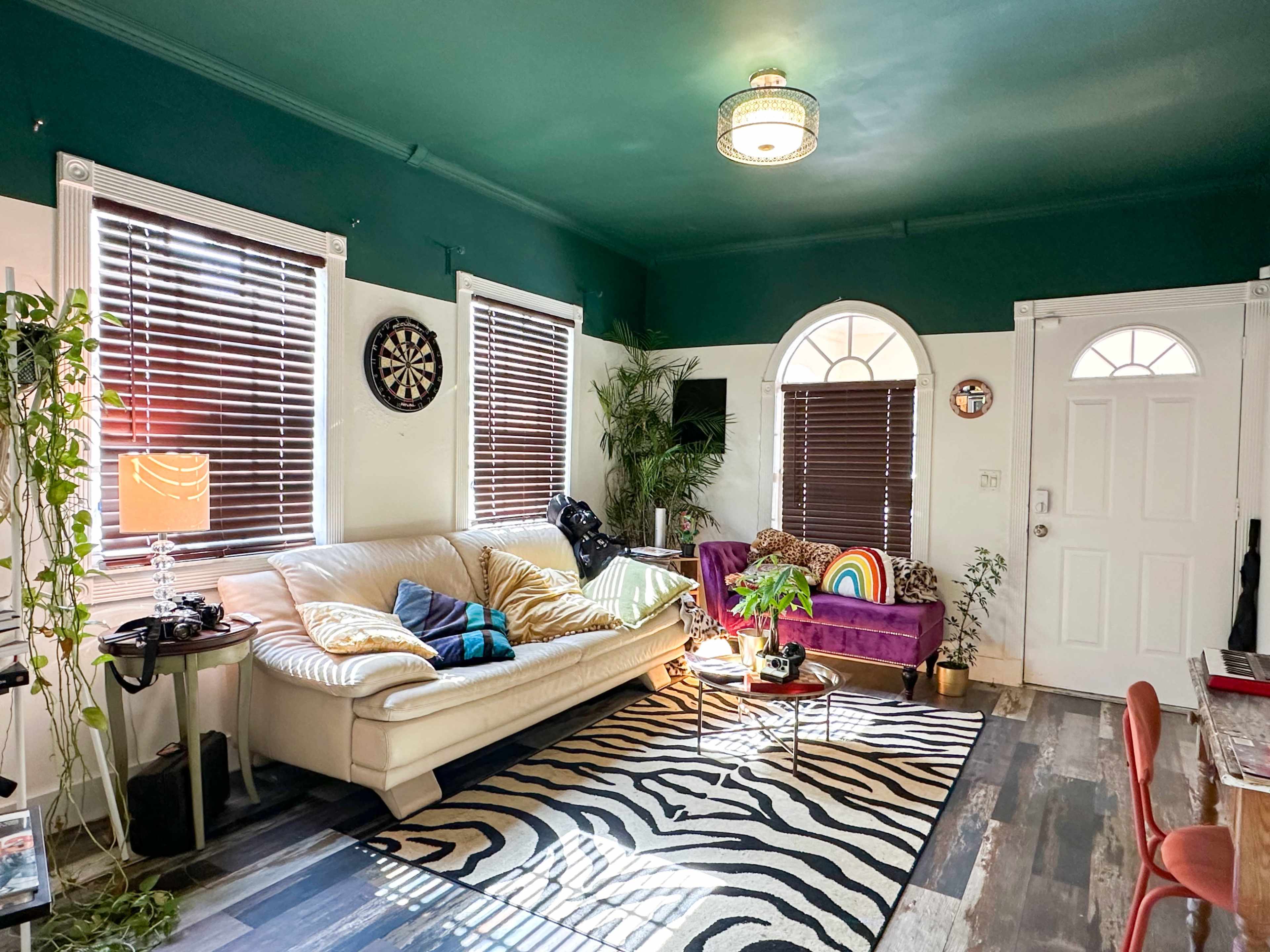 The image shows a living room with a white sofa, a purple couch, a zebra-striped rug, and several plants, illuminated by natural light through window blinds.
