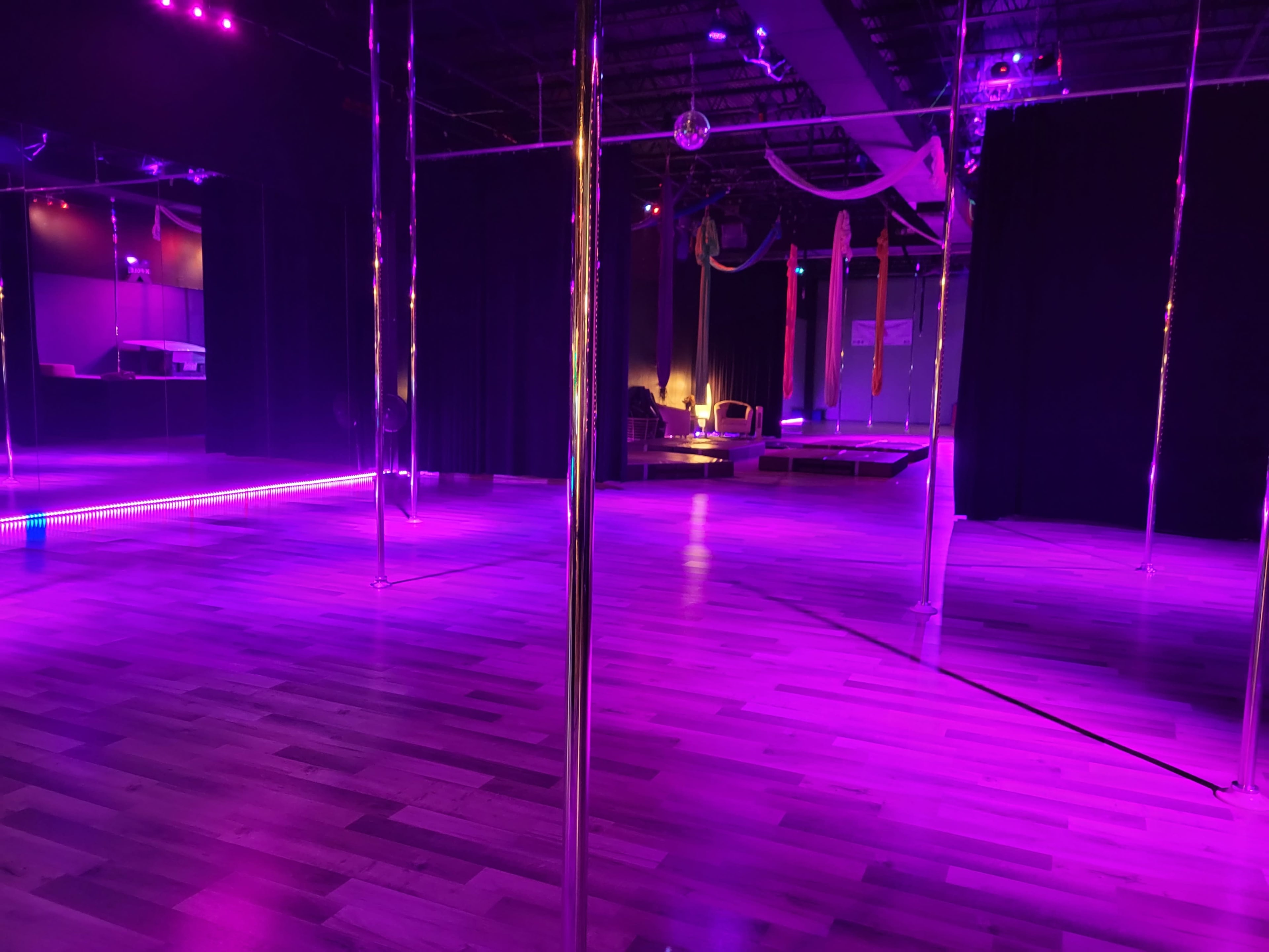 Versatile Studio in the Heart of Tampa Image in Tampa, TAMPA, FL