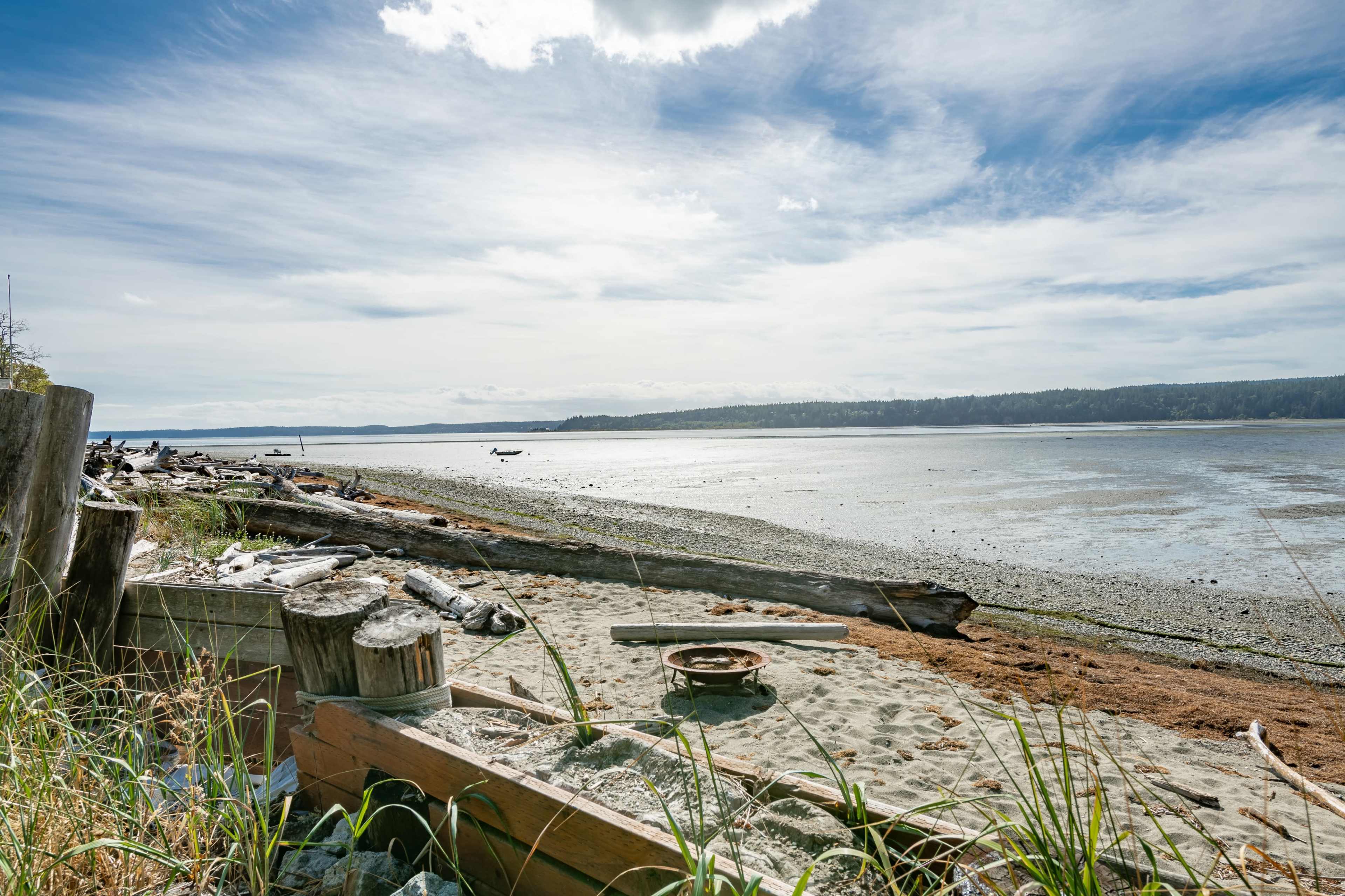 A sandy shoreline stretches along a calm body of water, with driftwood scattered along the beach and a distant forested area visible in the background.