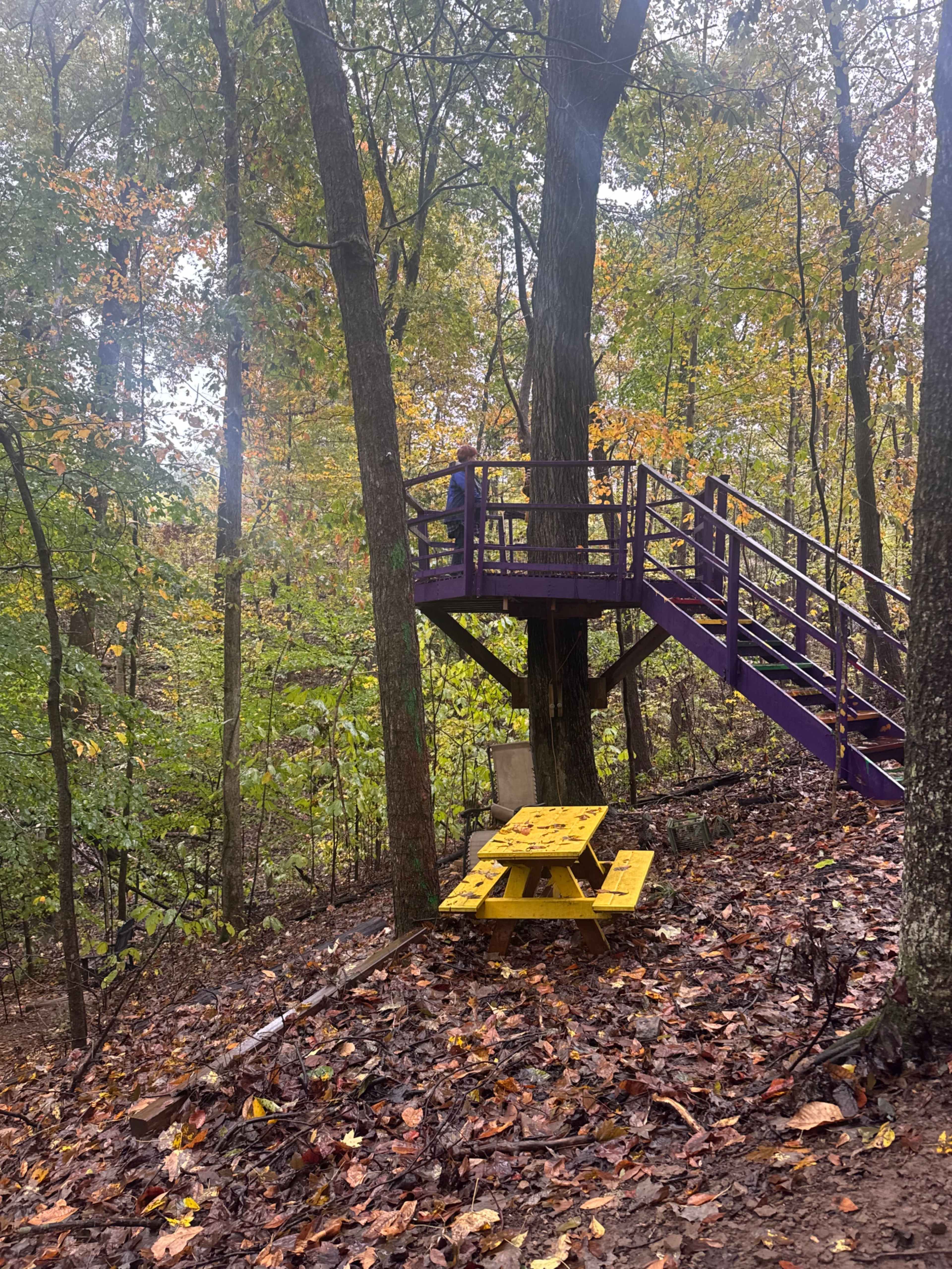 Rural Country Vibe was the Woods Image in Joelton, Goodlettsville, TN