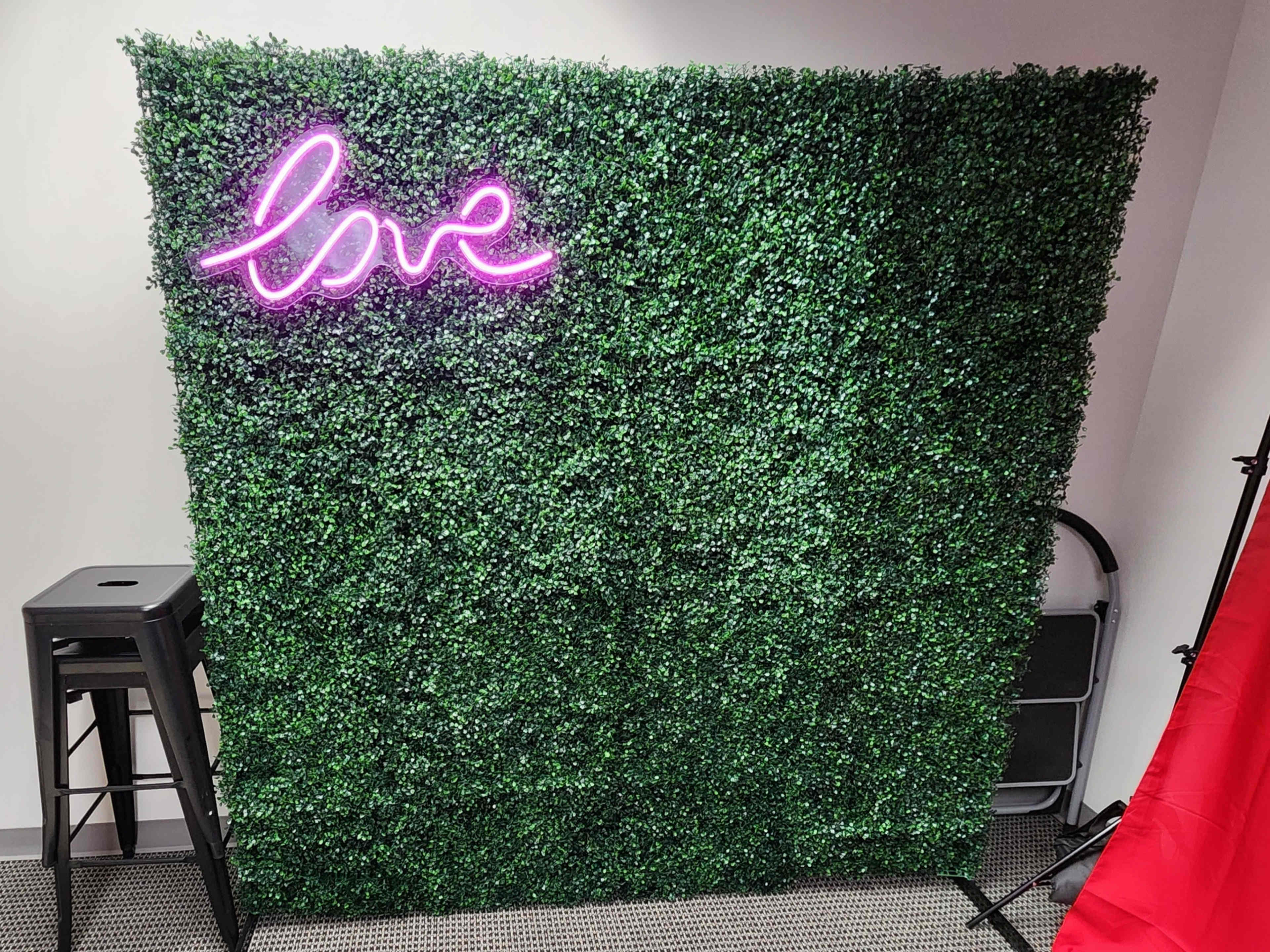 A green wall covered in artificial foliage features a pink neon sign that says "love."