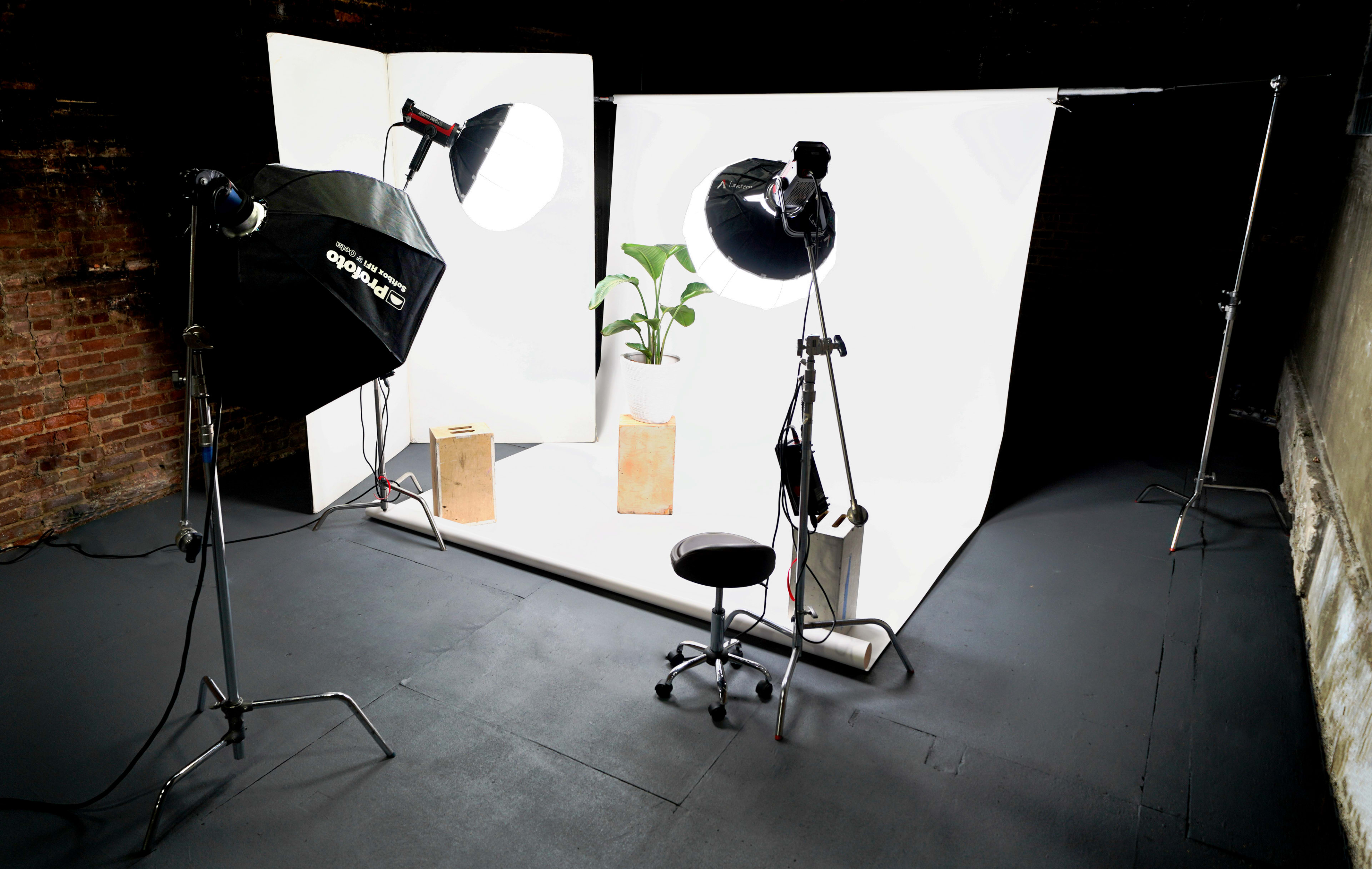 A photography studio setup features three softbox lights, a potted plant, a stool, and white backdrops arranged in a well-lit area.