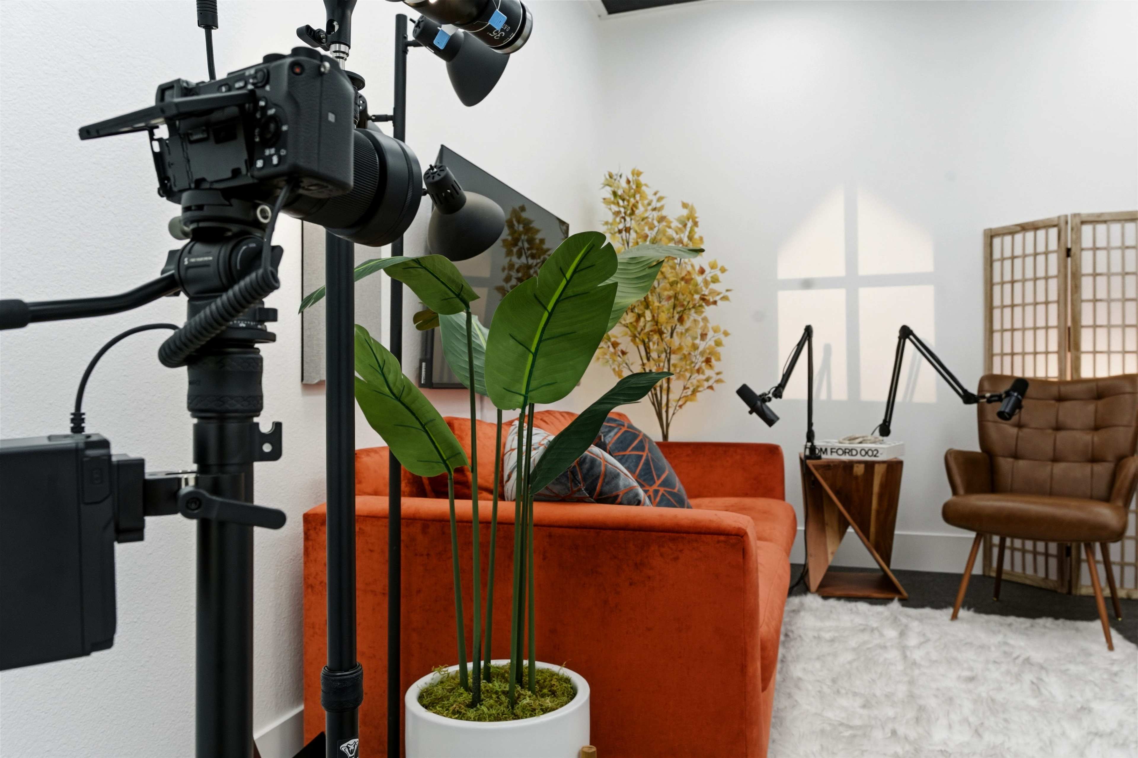 The image shows a modern studio setup with a camera, a brightly colored orange couch, a potted plant, and two adjustable lights beside a decorative screen.