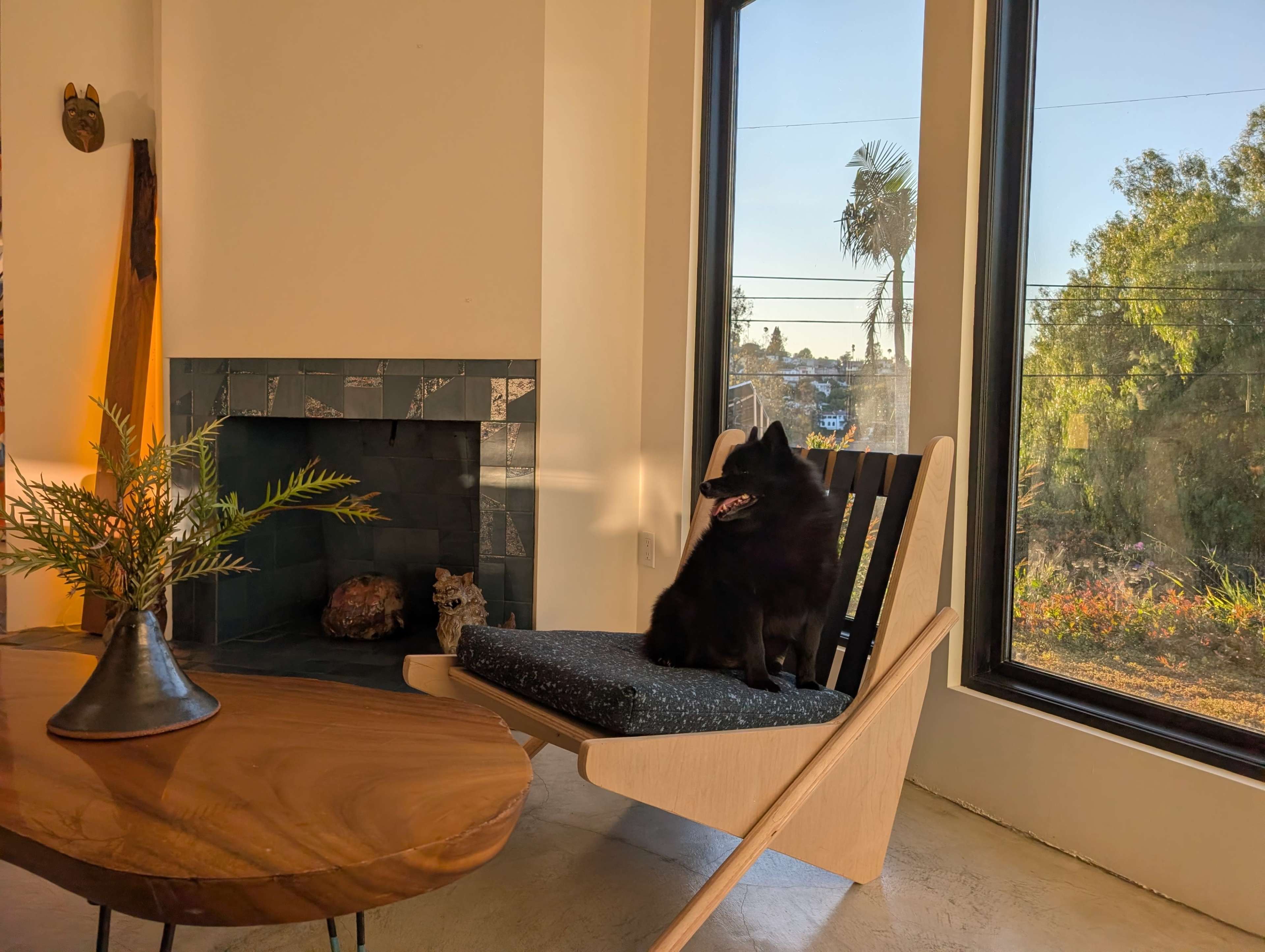A black dog sits on a modern chair next to a window with a view of trees and a sunny outdoor setting.