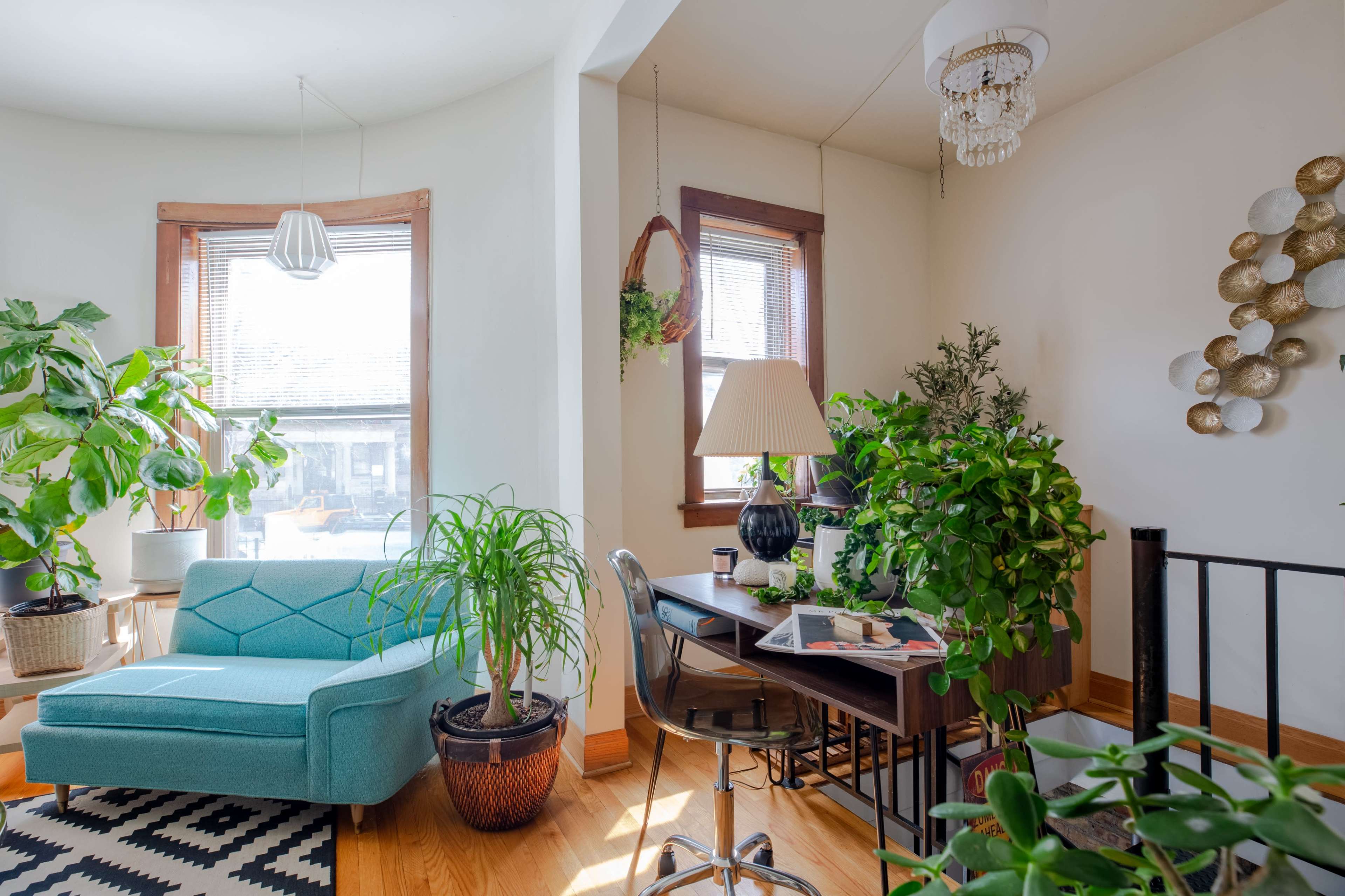A cozy living space features a turquoise couch, a wooden desk adorned with plants, and large windows that allow natural light to fill the room.