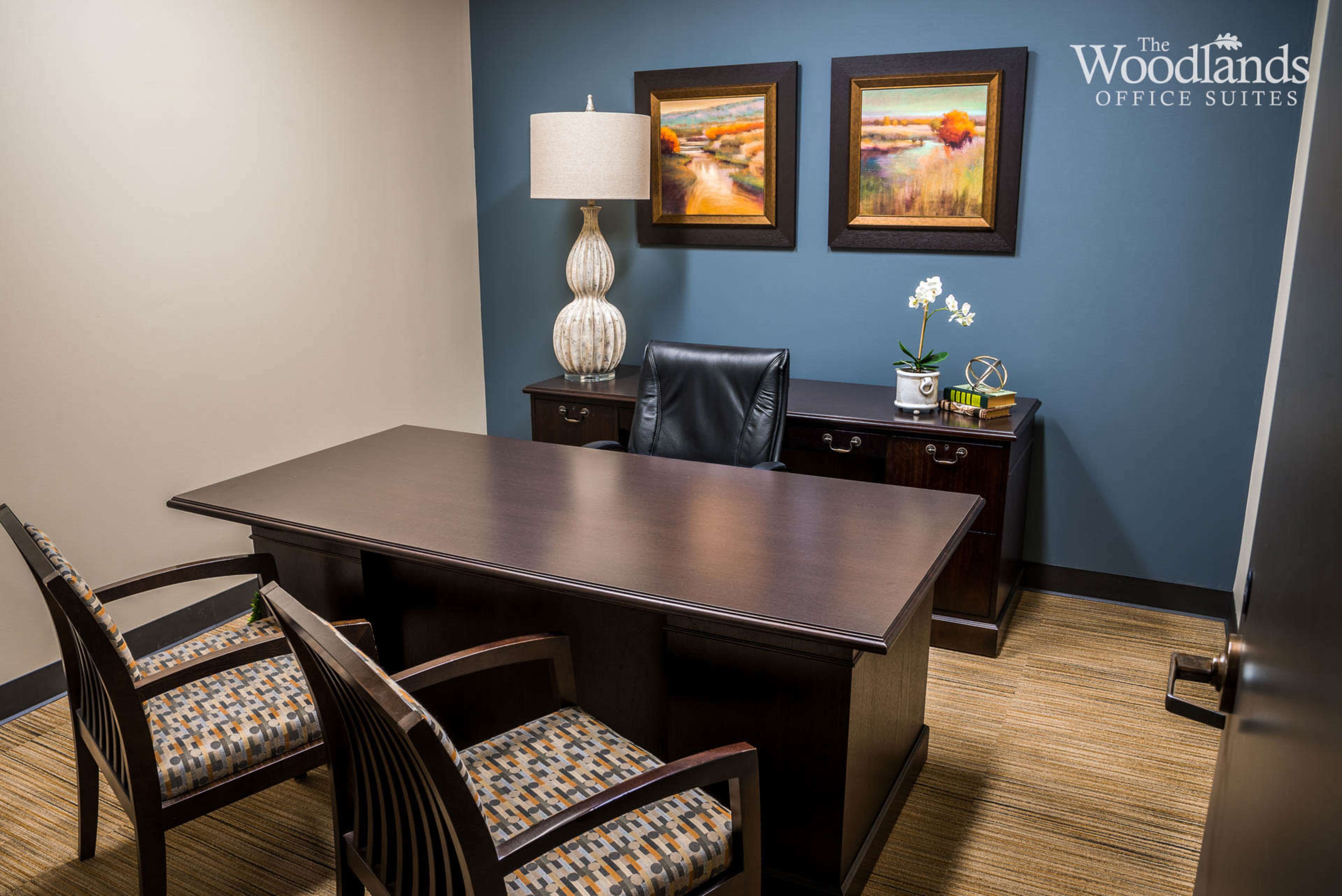Spacious Meeting Room Image in Town Center, The Woodlands, TX