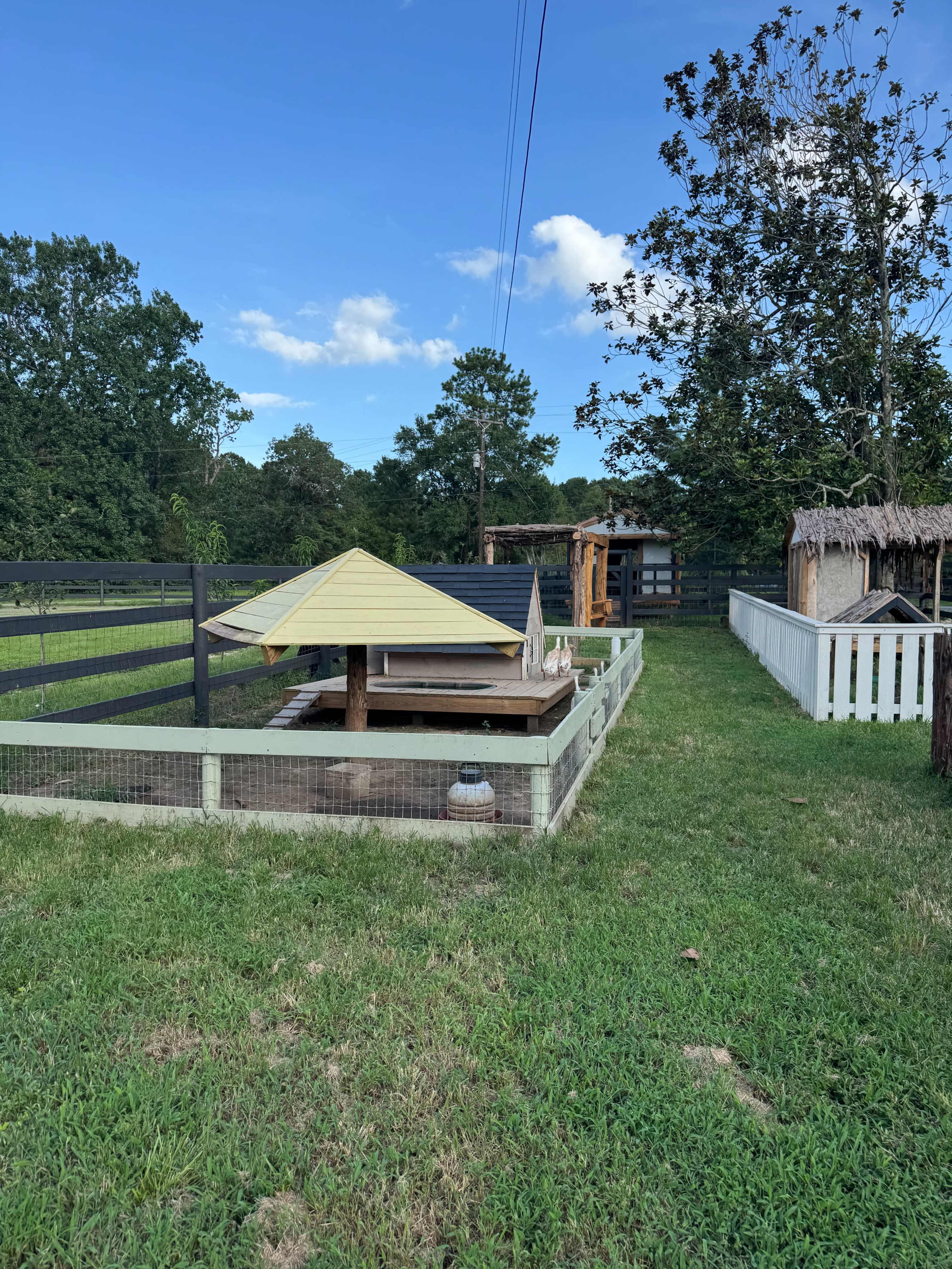 The image shows a fenced area in a yard featuring various structures, including a wooden platform with a sloped roof and a small, enclosed space, surrounded by grass and trees.