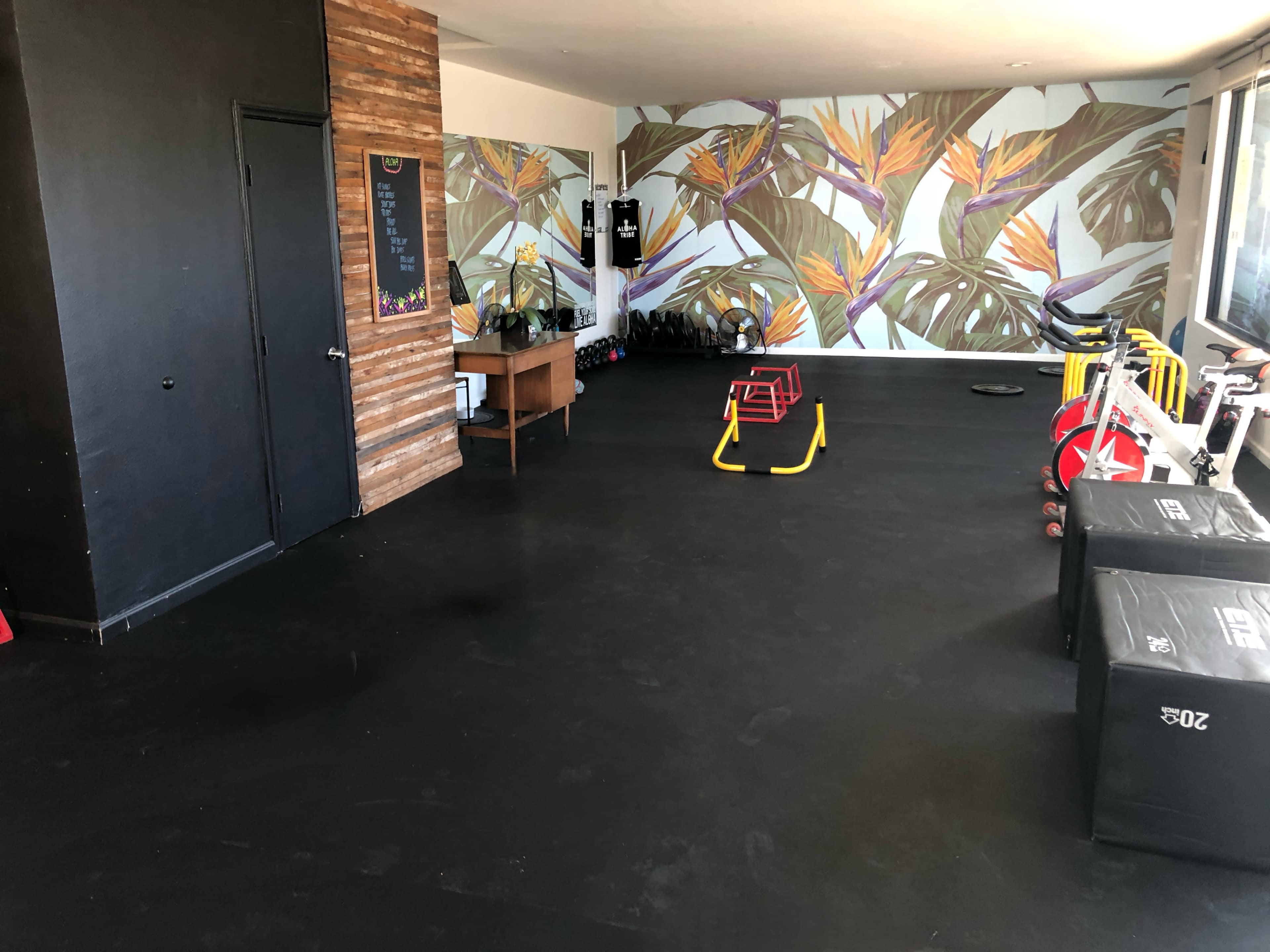 The image shows a gym interior with dark flooring, a wall decorated with a tropical mural, and various exercise equipment arranged around the space.