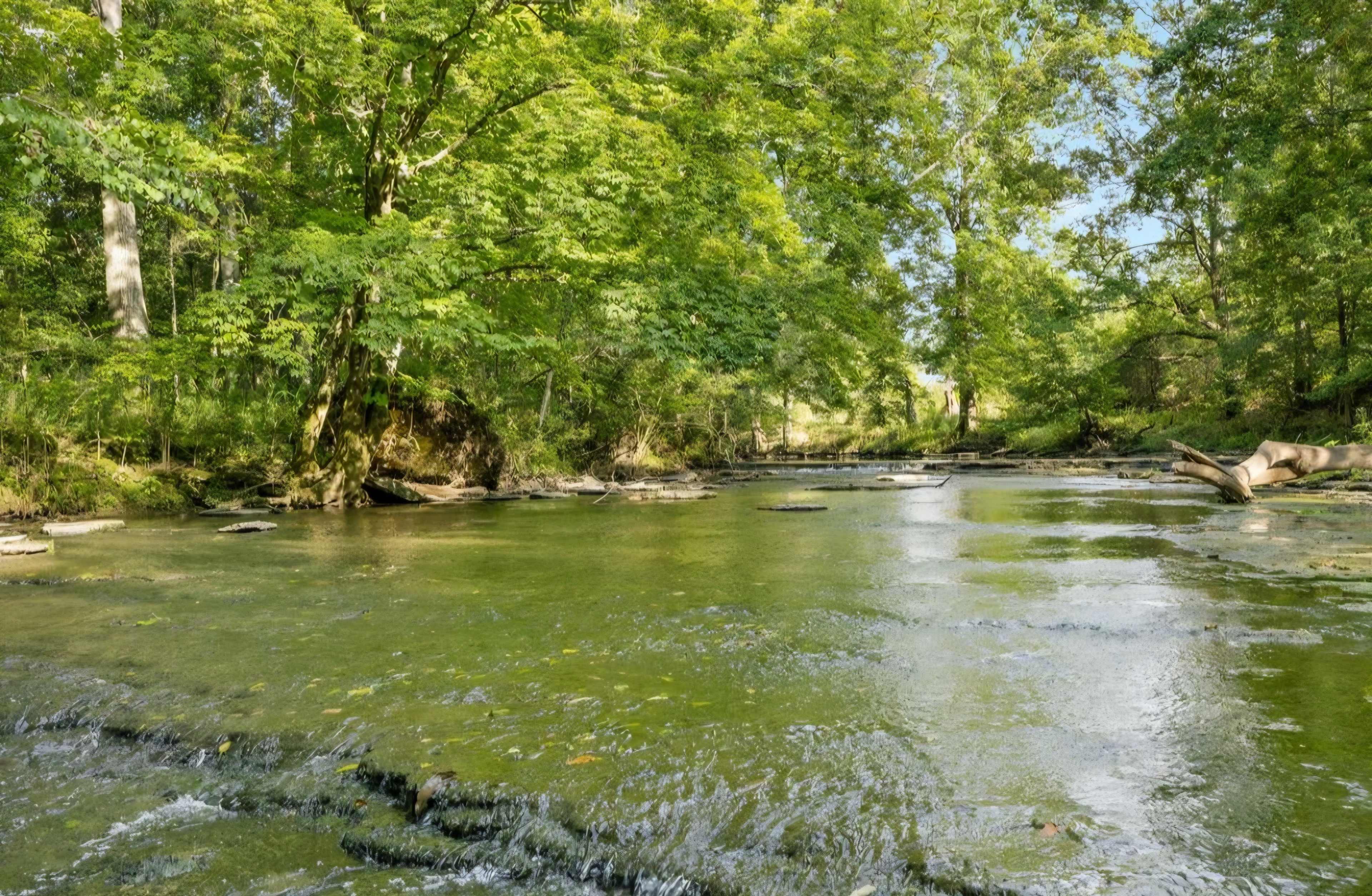 Creekside Land Rental for Film, Photography & Small Events Image in Hermitage, Hermitage, TN