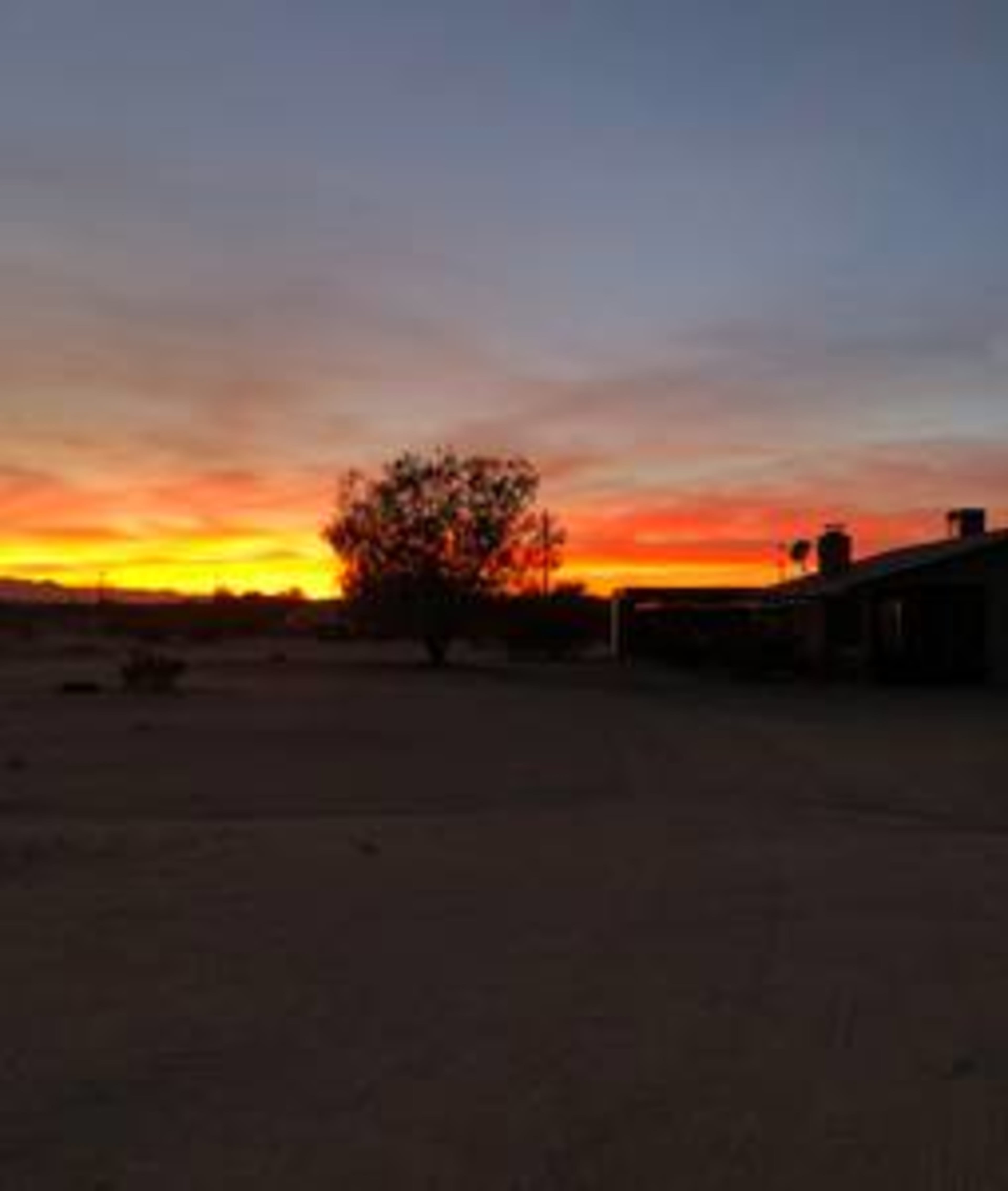 A silhouette of a tree stands against a colorful sunset over a barren landscape with a building nearby.