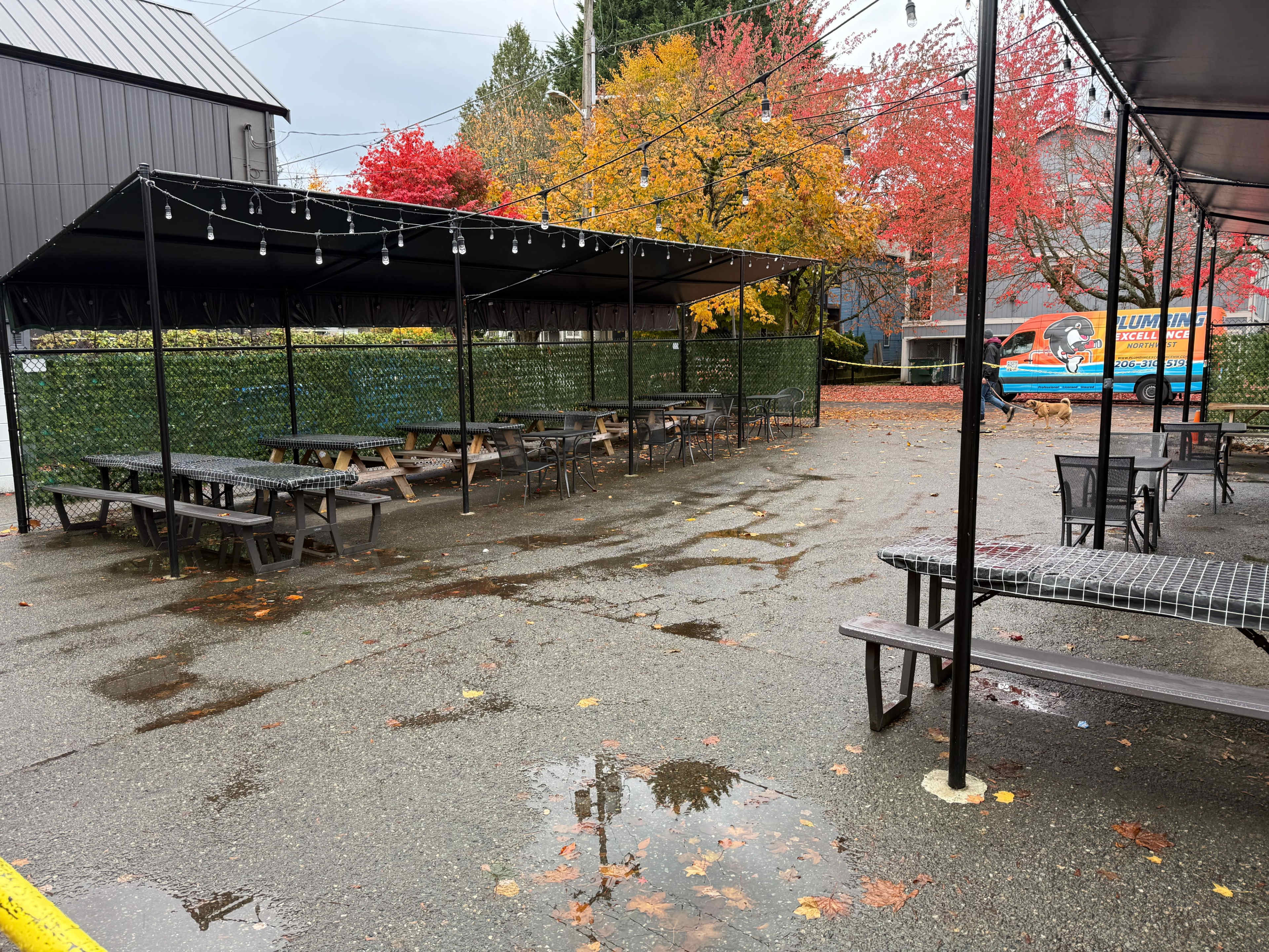 The scene shows an outdoor seating area with several wooden picnic tables under a canopy, surrounded by colorful autumn foliage and wet pavement.