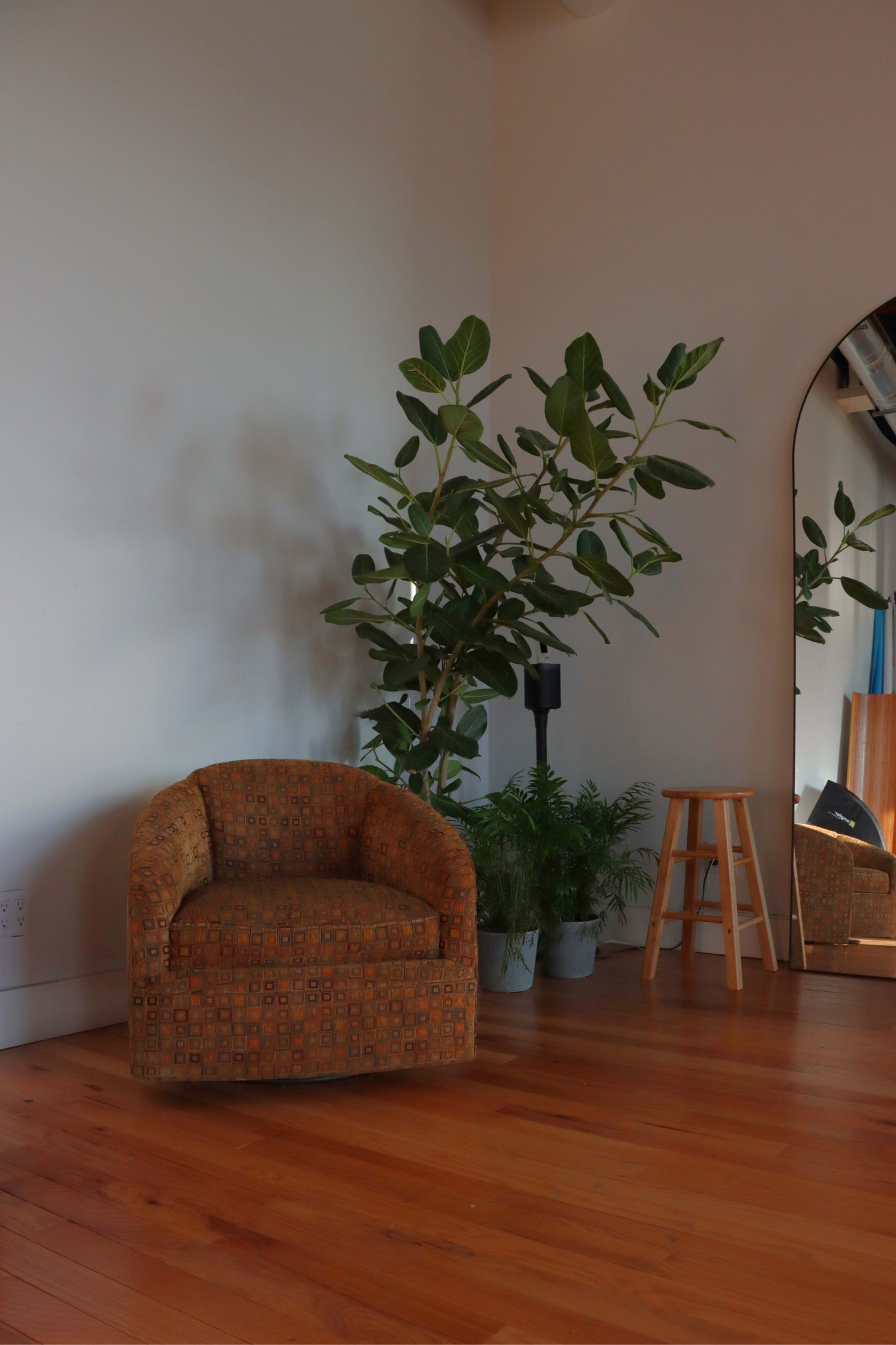 A patterned chair is positioned next to a large indoor plant and a tall mirror in a room with wooden flooring.