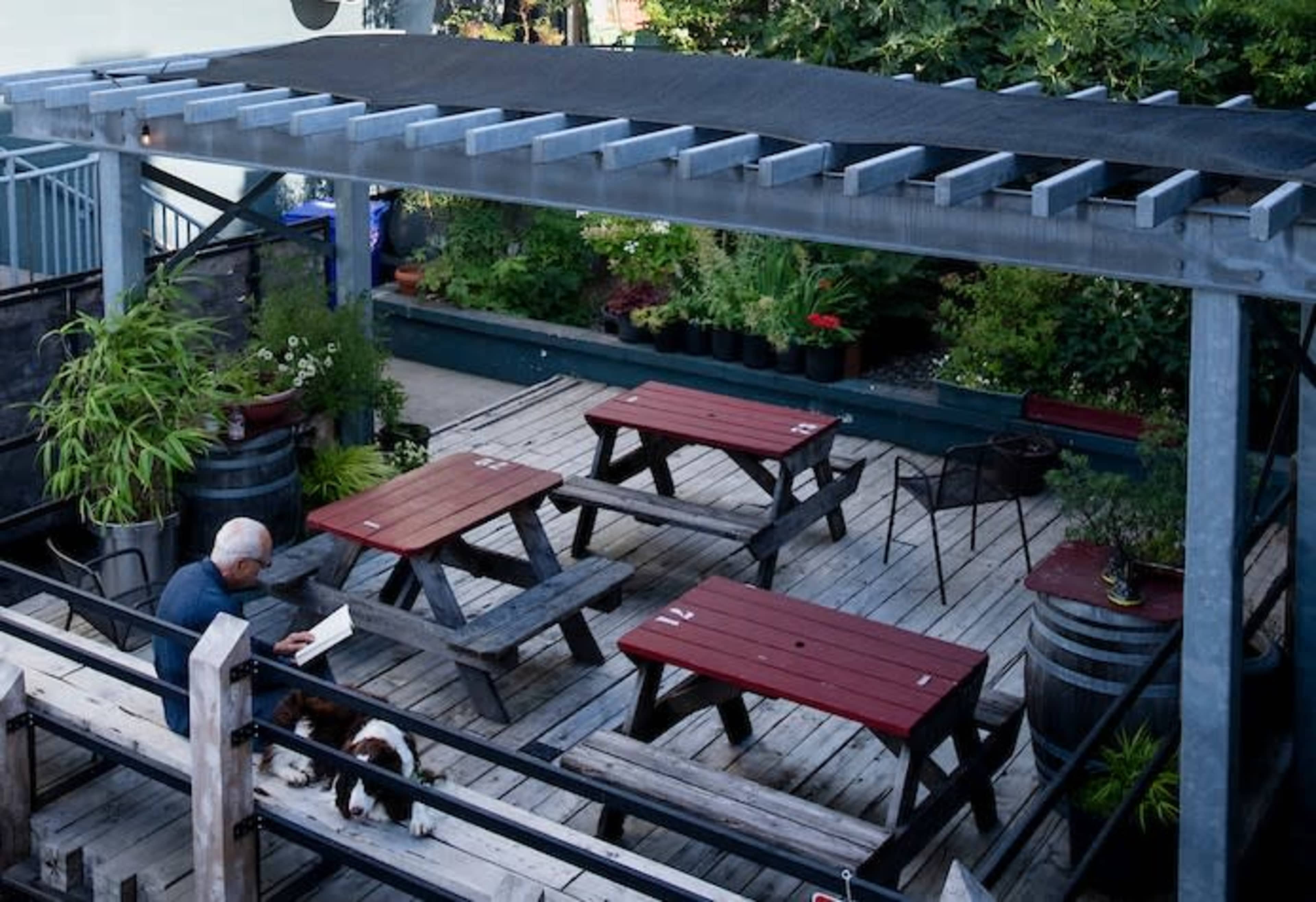 Close-in SE Portland Loft with garage door & kitchen Image in Southeast Portland, Portland, OR