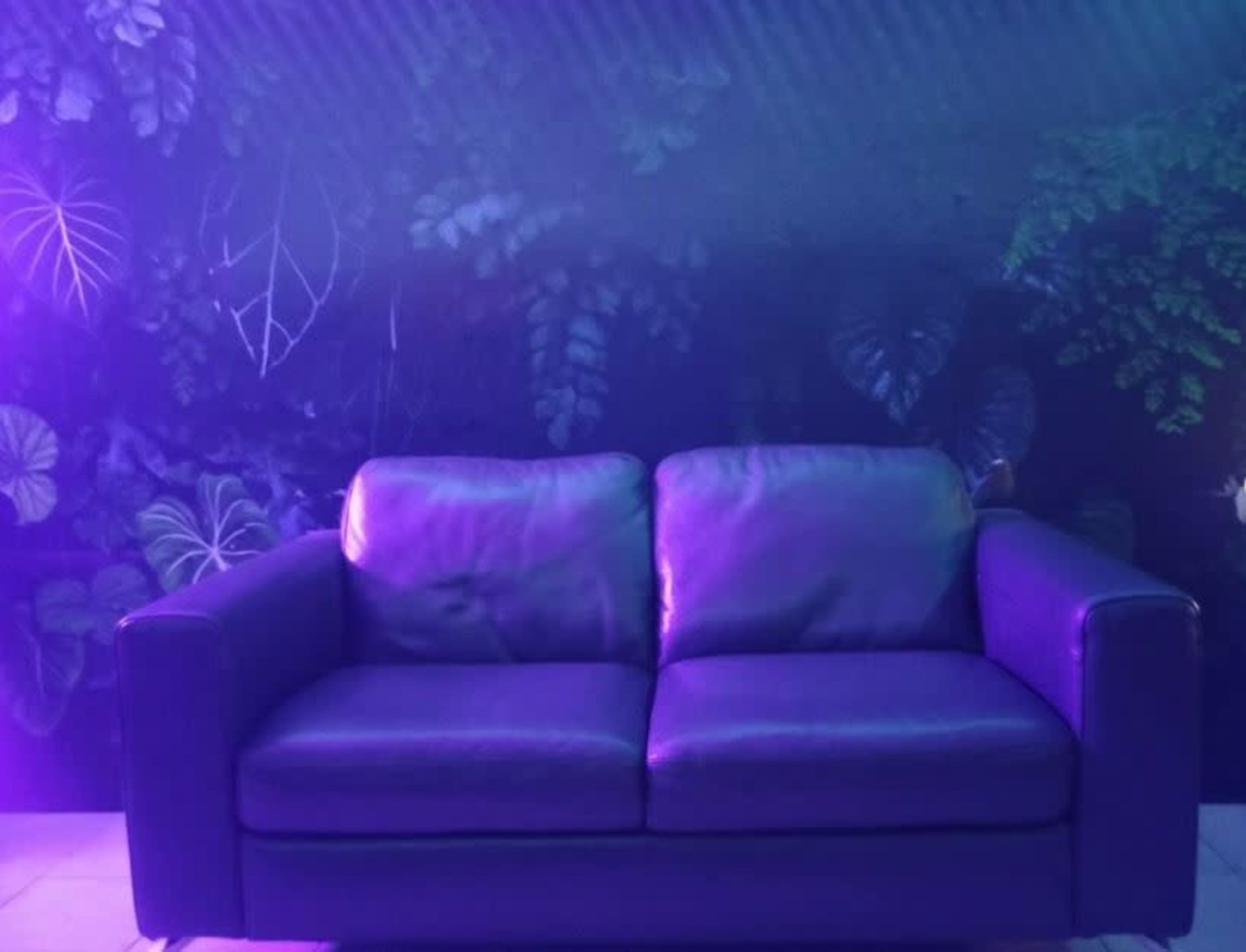 A dark purple couch is set against a backdrop of green foliage and a softly lit wall.