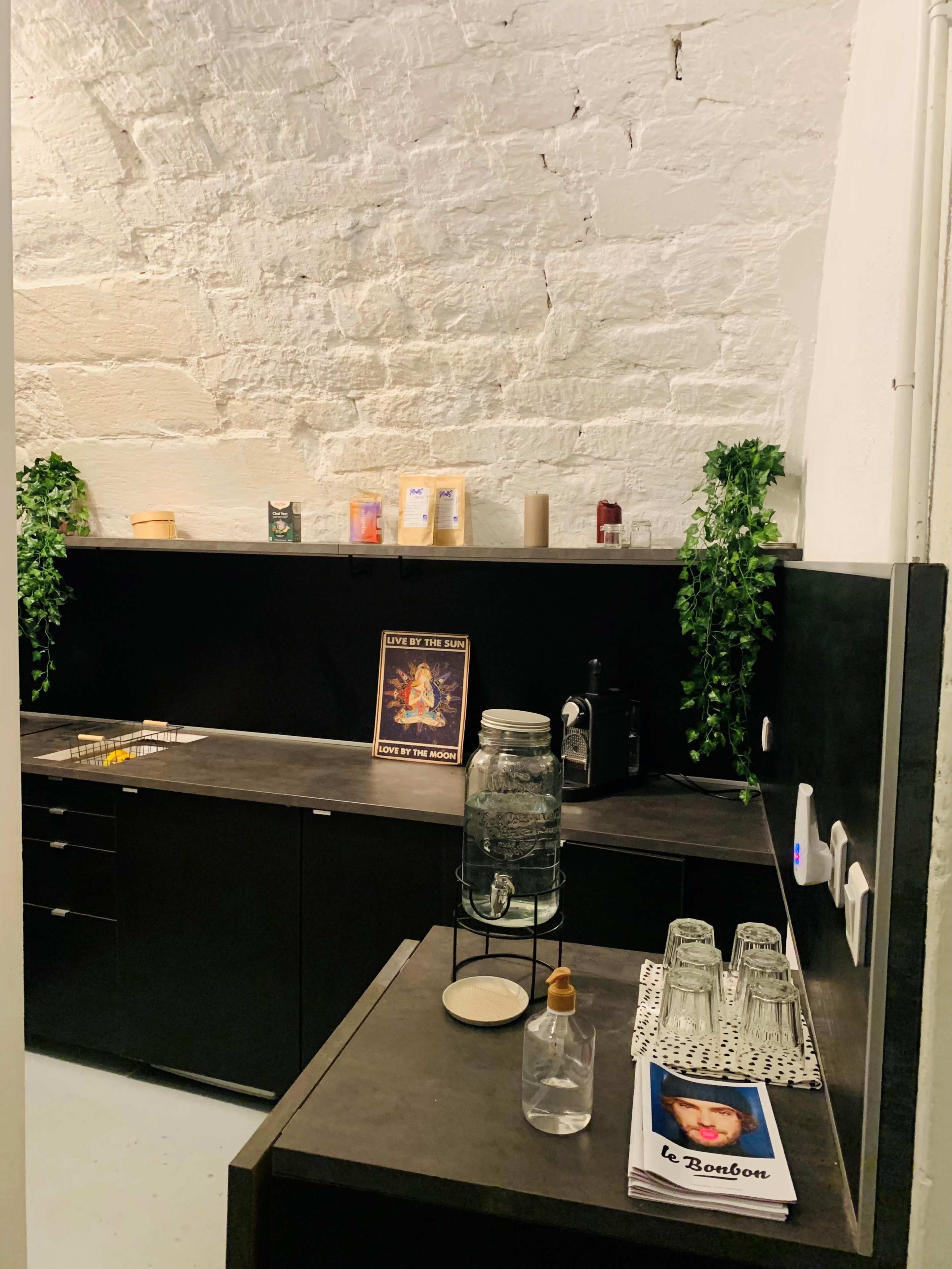 A small, modern kitchen with a black countertop, storage cabinets, and decorative plants against a white stone wall.