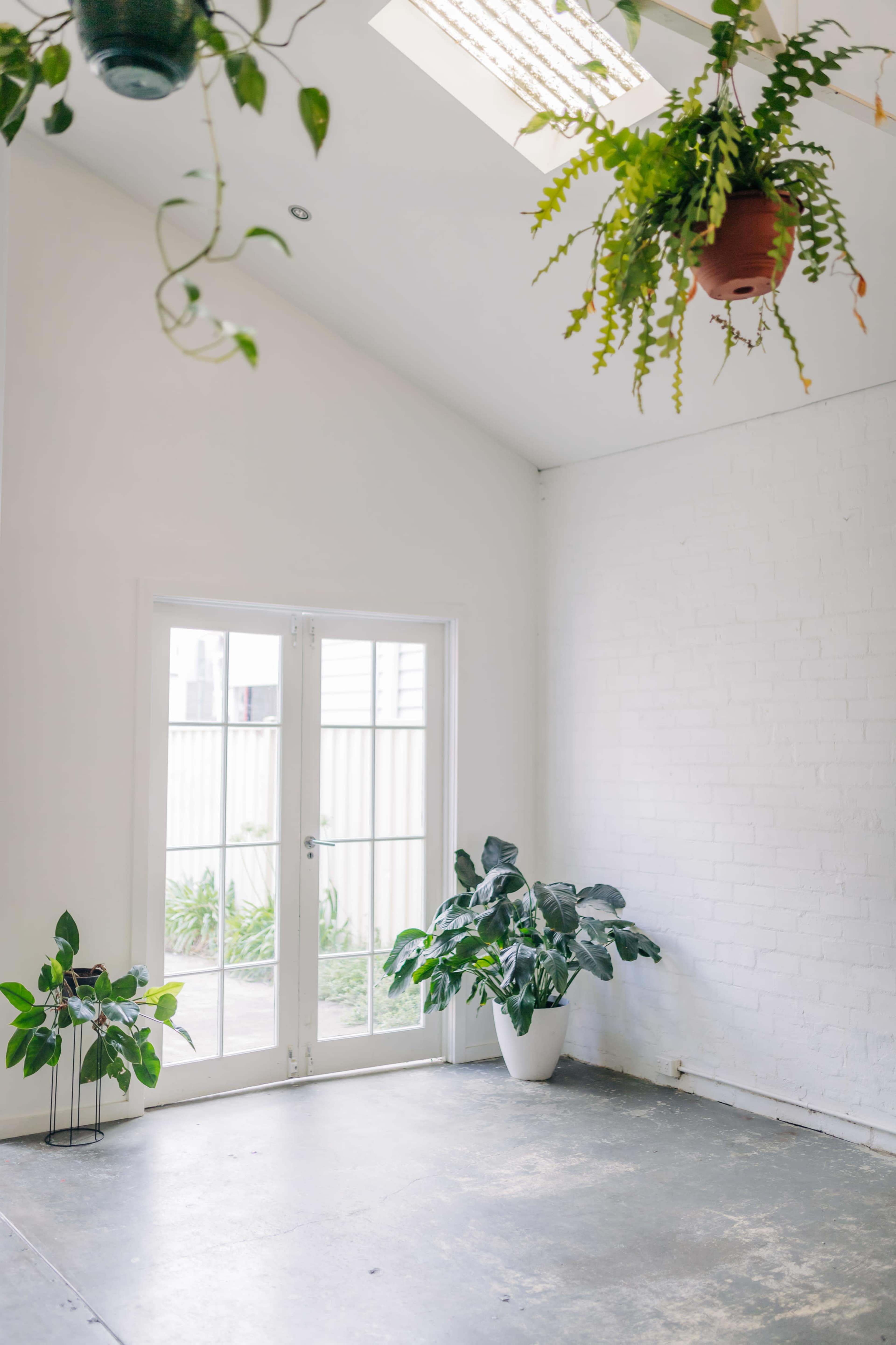 A bright, minimalist room with white walls, large glass doors, and several hanging and potted plants.