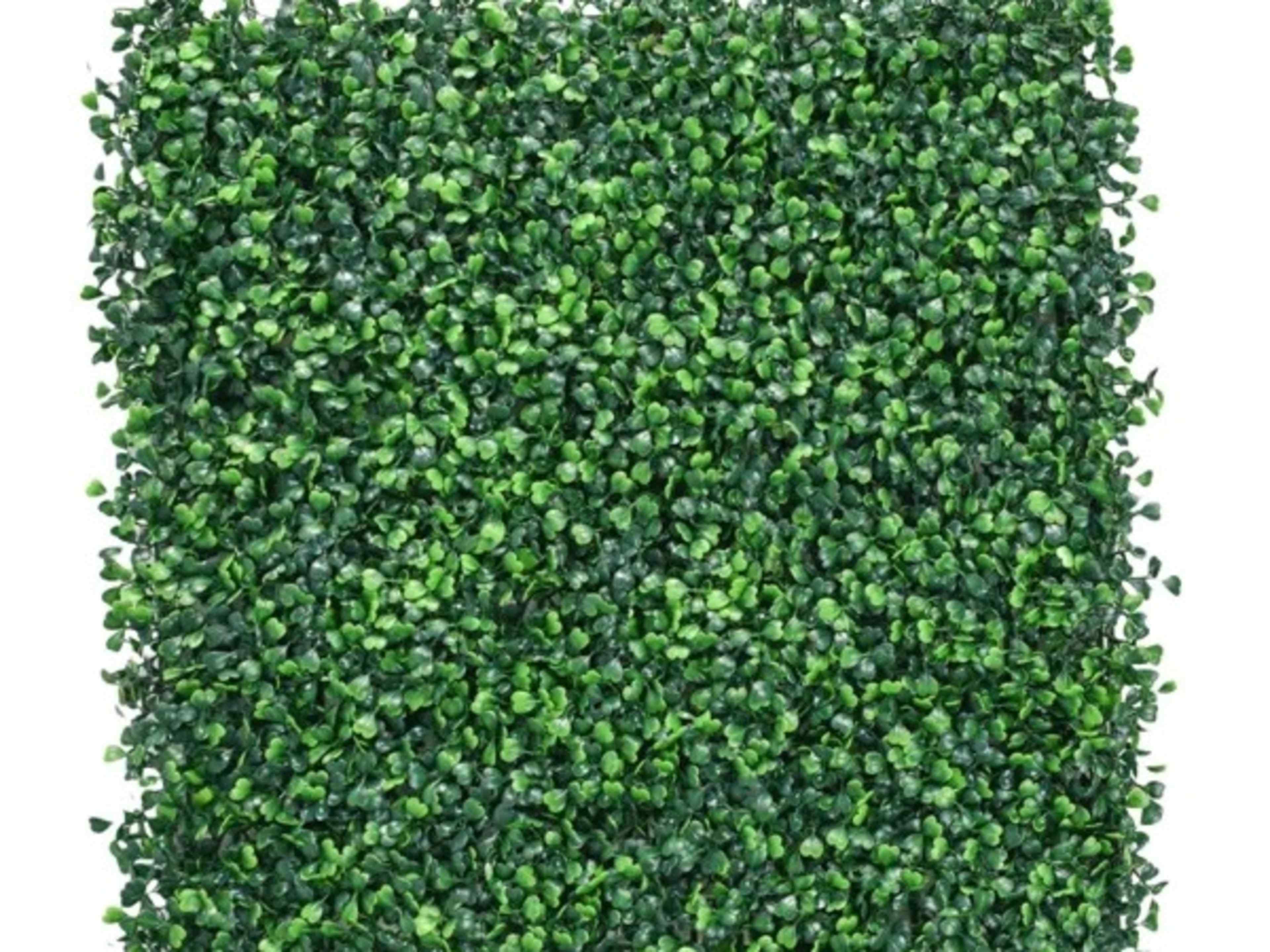 Greenery Wall / Greenery Package