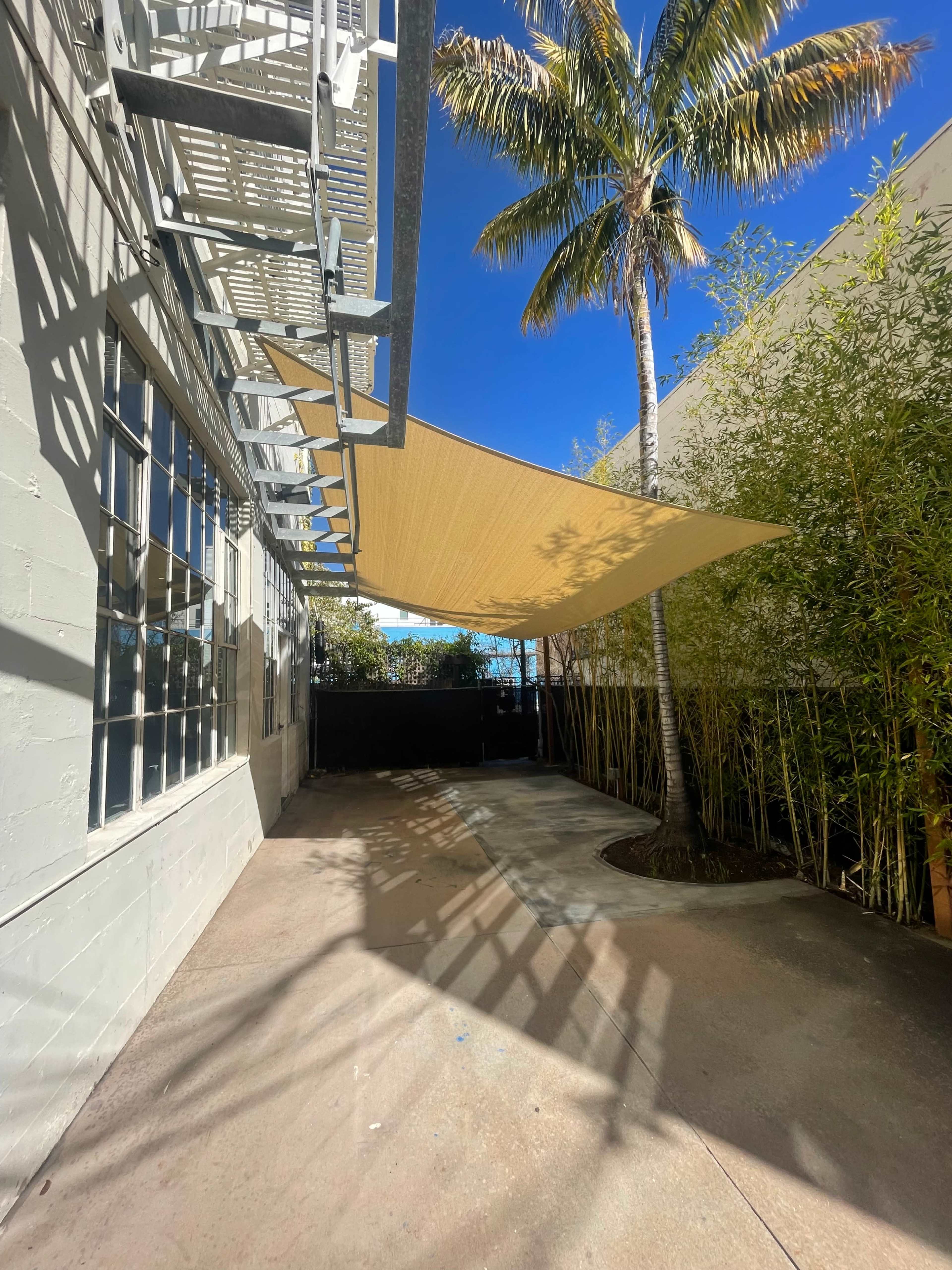 A shaded outdoor area features a large fabric canopy, a palm tree, and bamboo plants adjacent to a building.