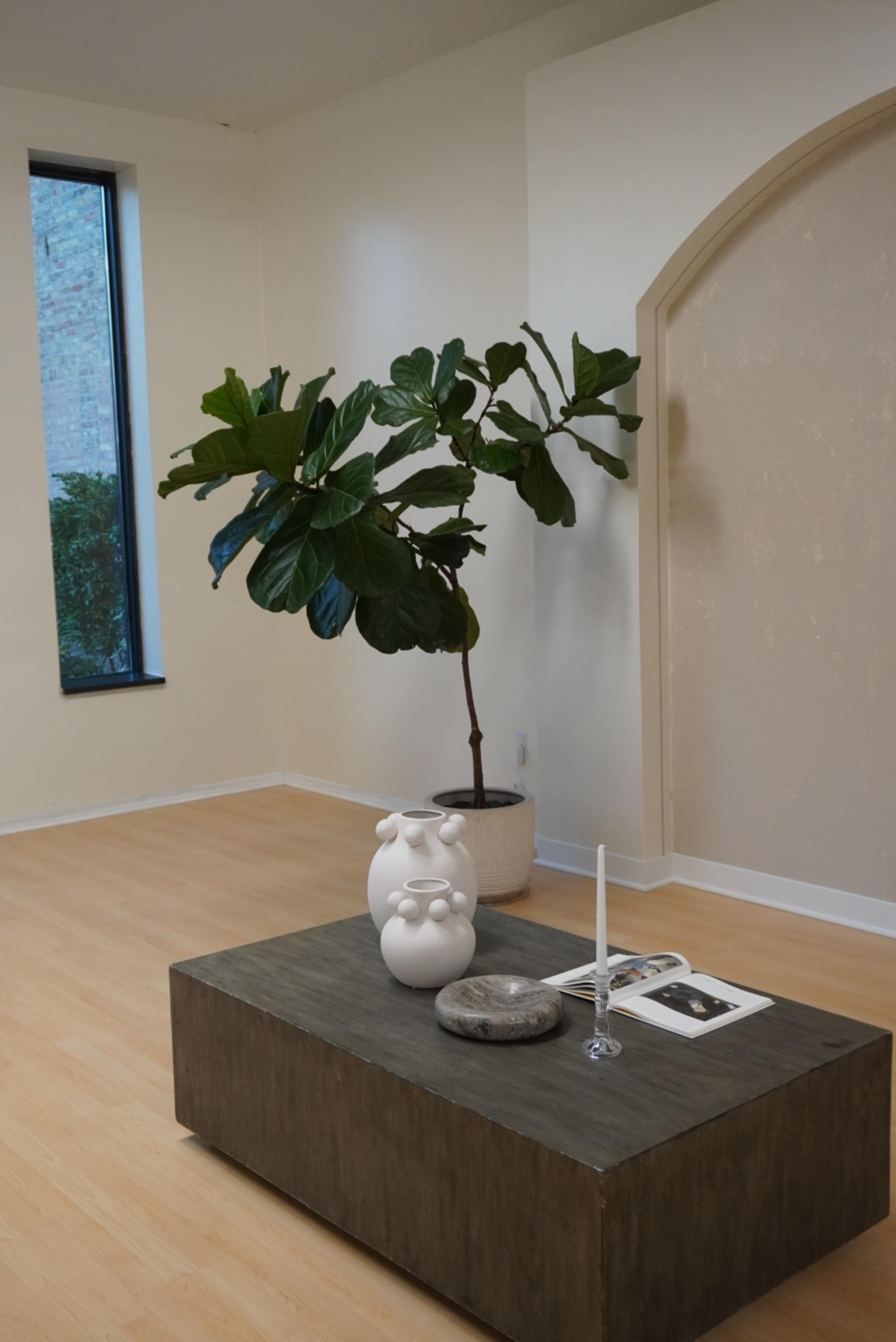 A large potted plant stands next to a minimalist coffee table adorned with a vase, stone, and a candle in a softly lit room.