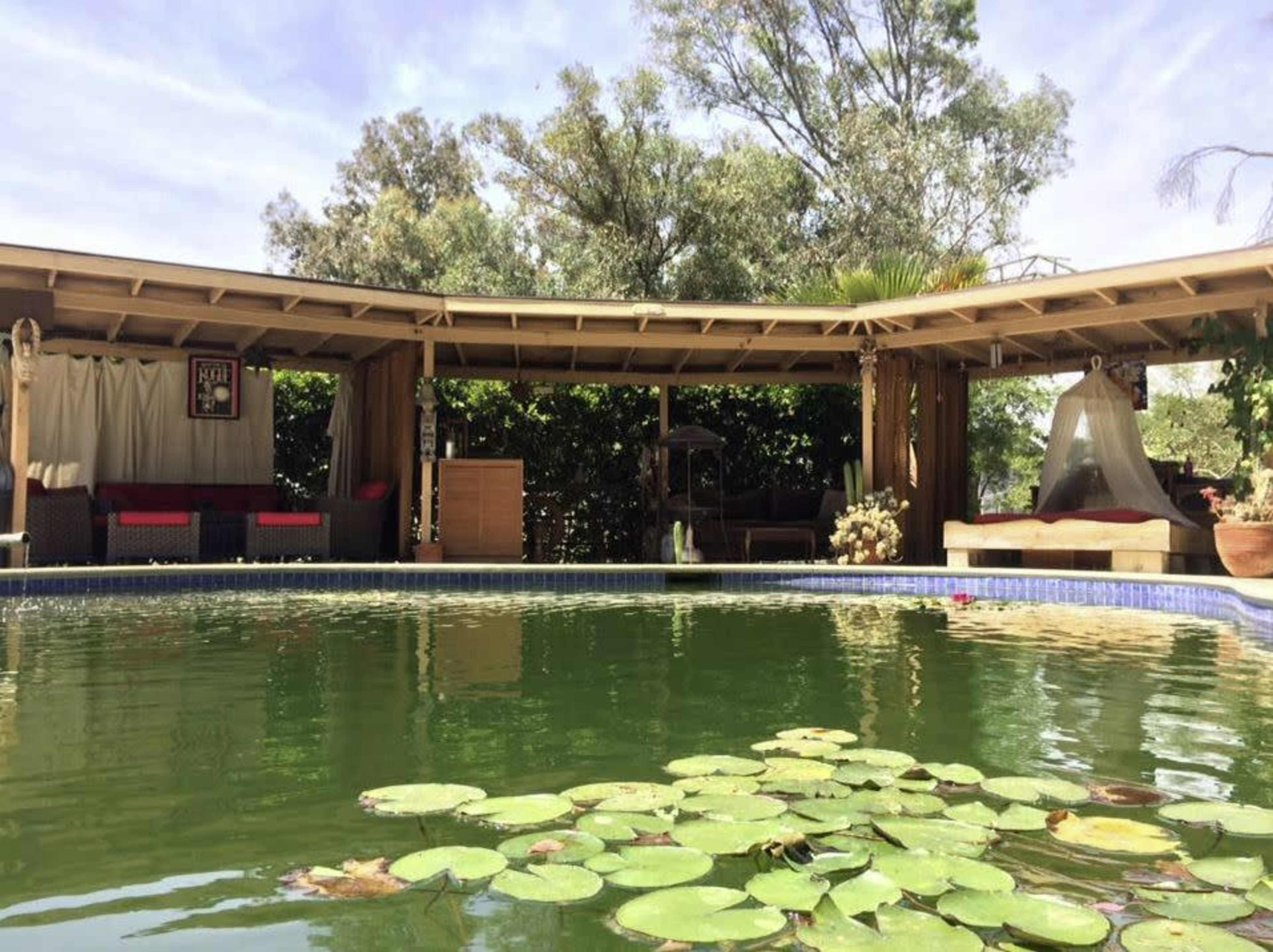 A serene pool surrounded by greenery and a covered seating area with lounge furniture.