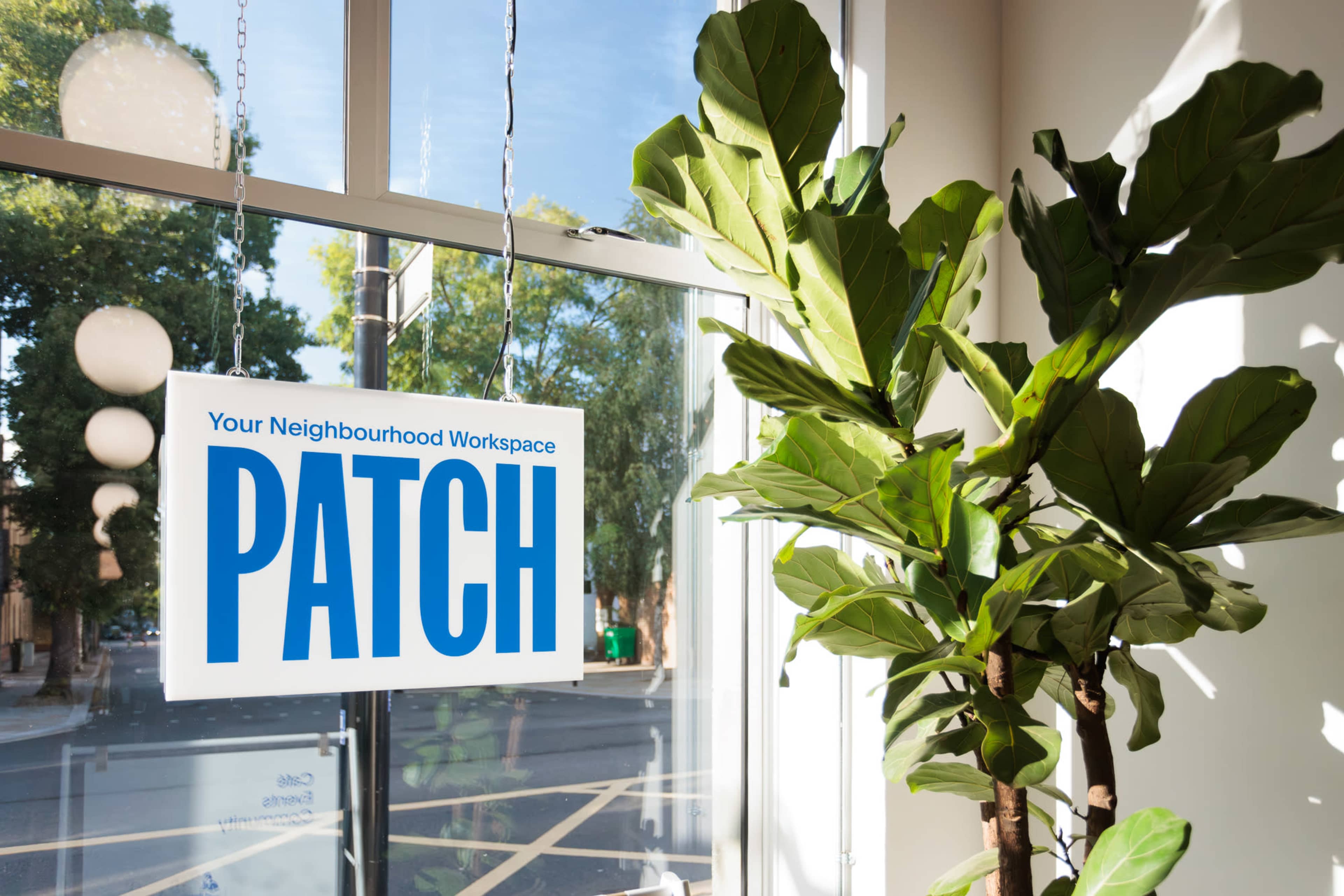 A sign reading "PATCH" hangs in a bright room alongside a large potted plant, with a view of a street outside.