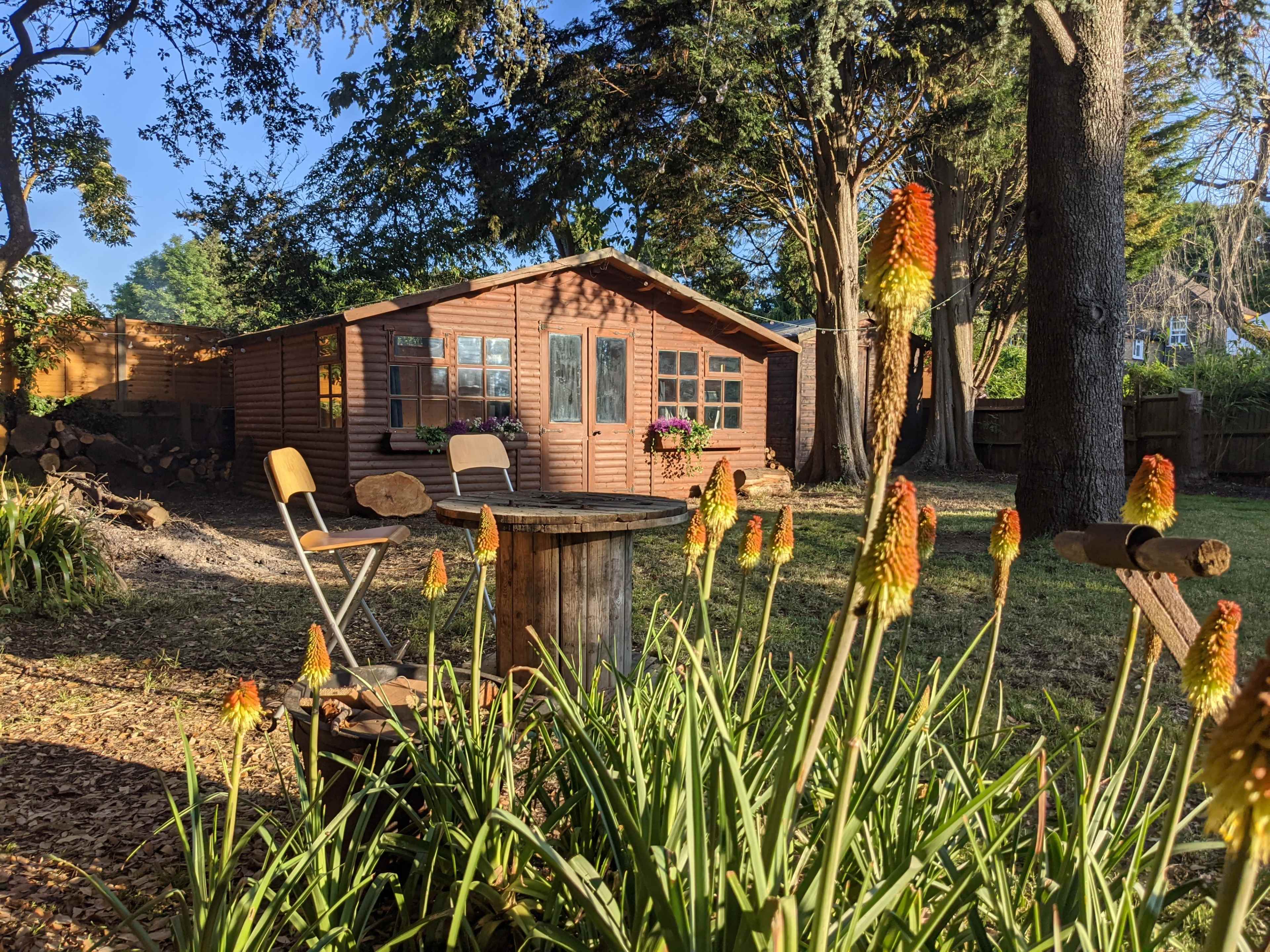 A wooden garden shed stands surrounded by tall green plants with orange flowers in a sunny backyard.