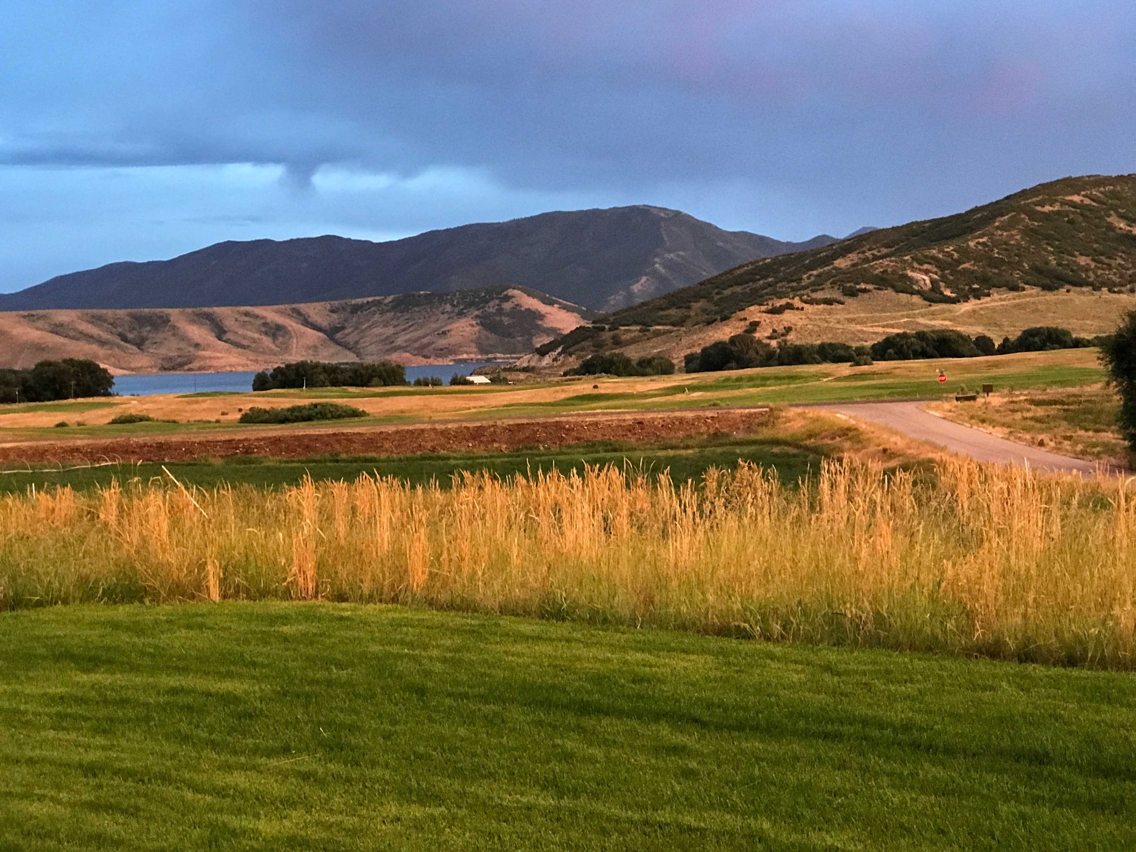 A serene landscape with rolling hills, a winding road, and fields of grass under a cloudy sky.