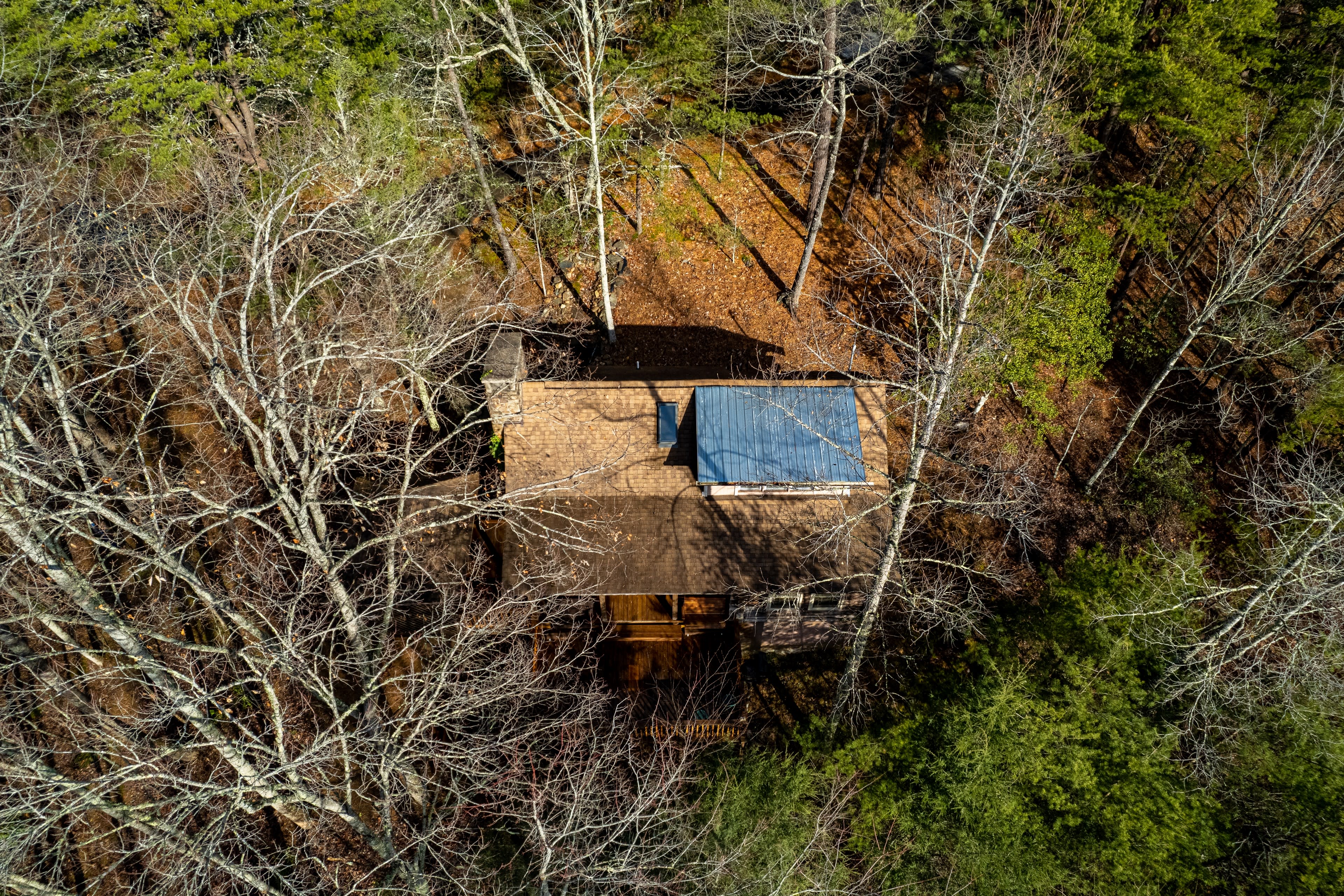 An aerial view shows a cabin surrounded by bare trees and patches of greenery on the forest floor.