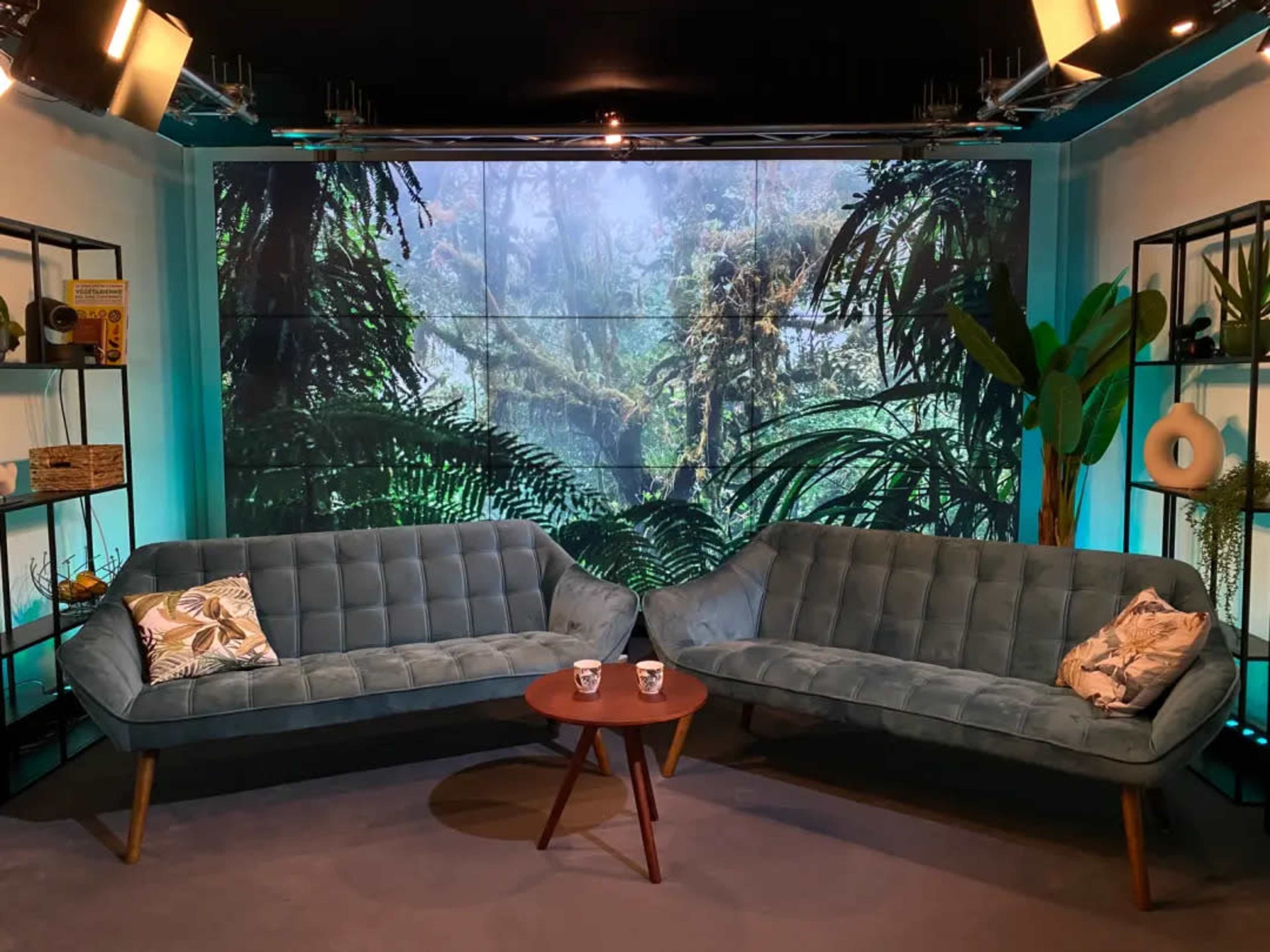 A television studio set with two blue sofas, a round table, and a backdrop of a dense jungle scene displayed on a large screen.