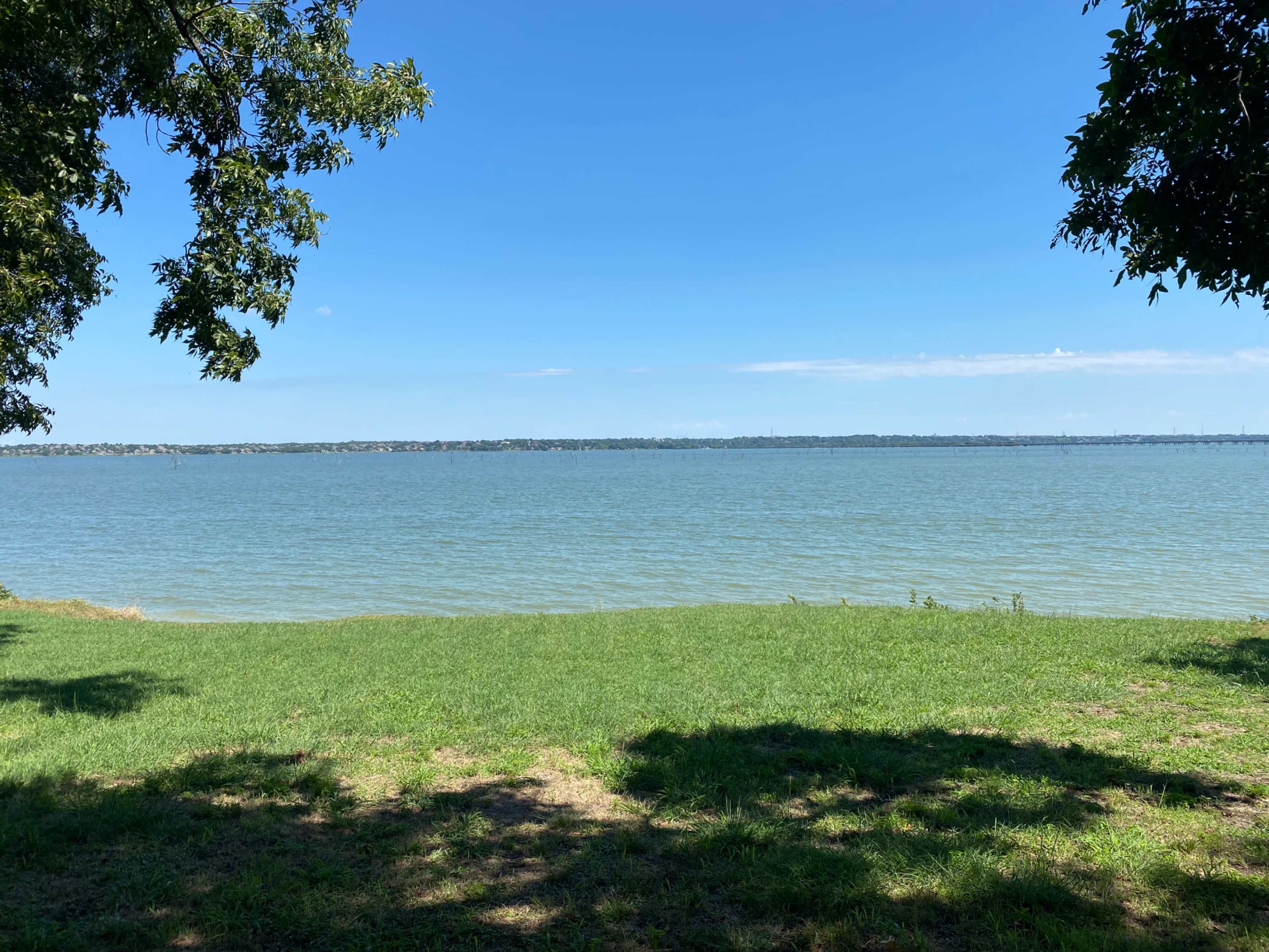 A grassy area with trees borders a calm, blue lake under a clear sky.
