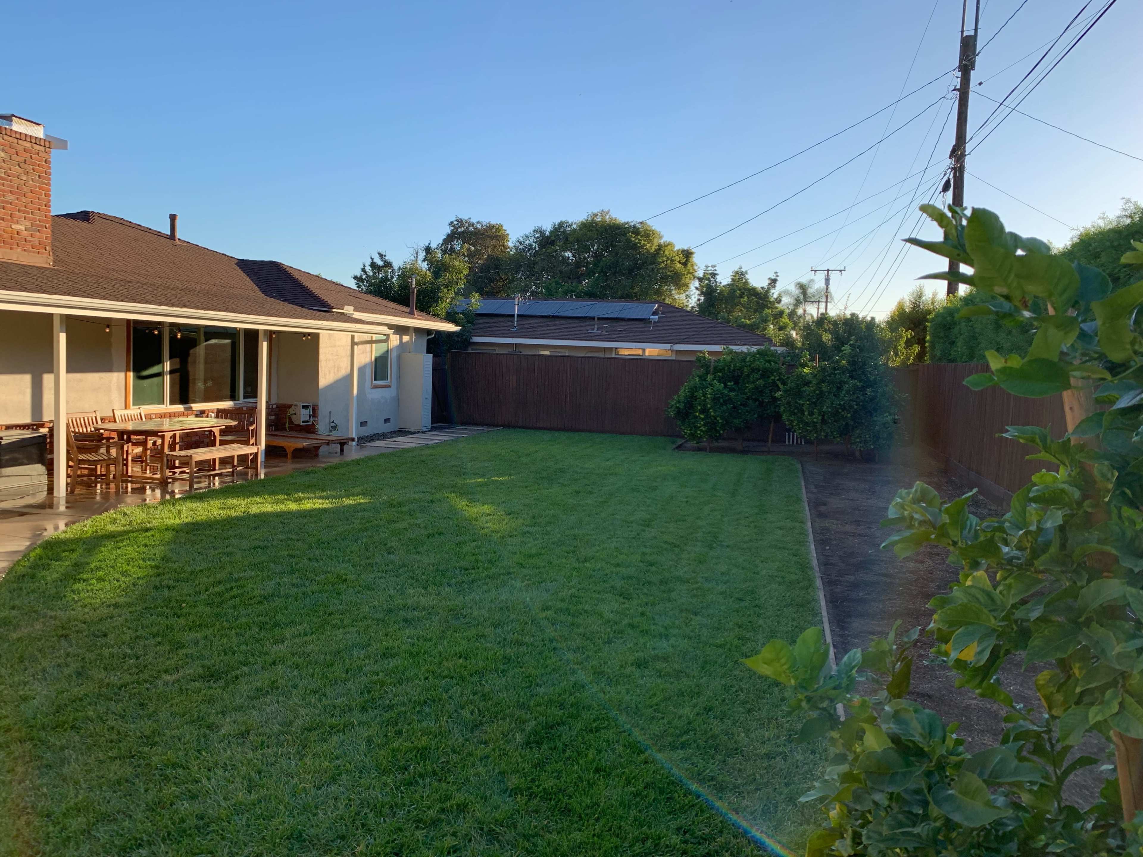 A spacious green lawn in a backyard surrounded by a wooden fence and trees.