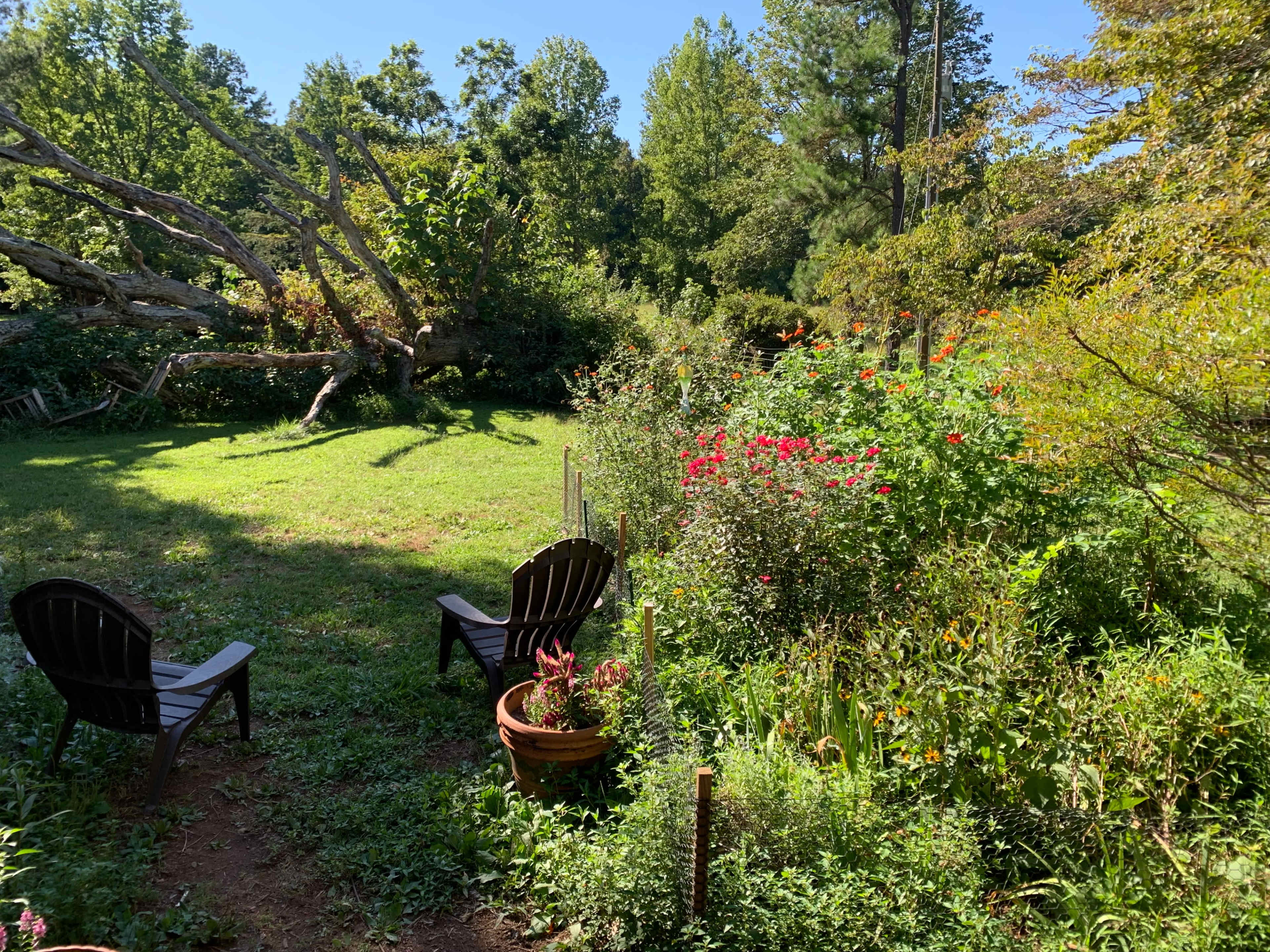 A garden with two wooden chairs facing a green lawn surrounded by colorful flowers and a fallen tree.