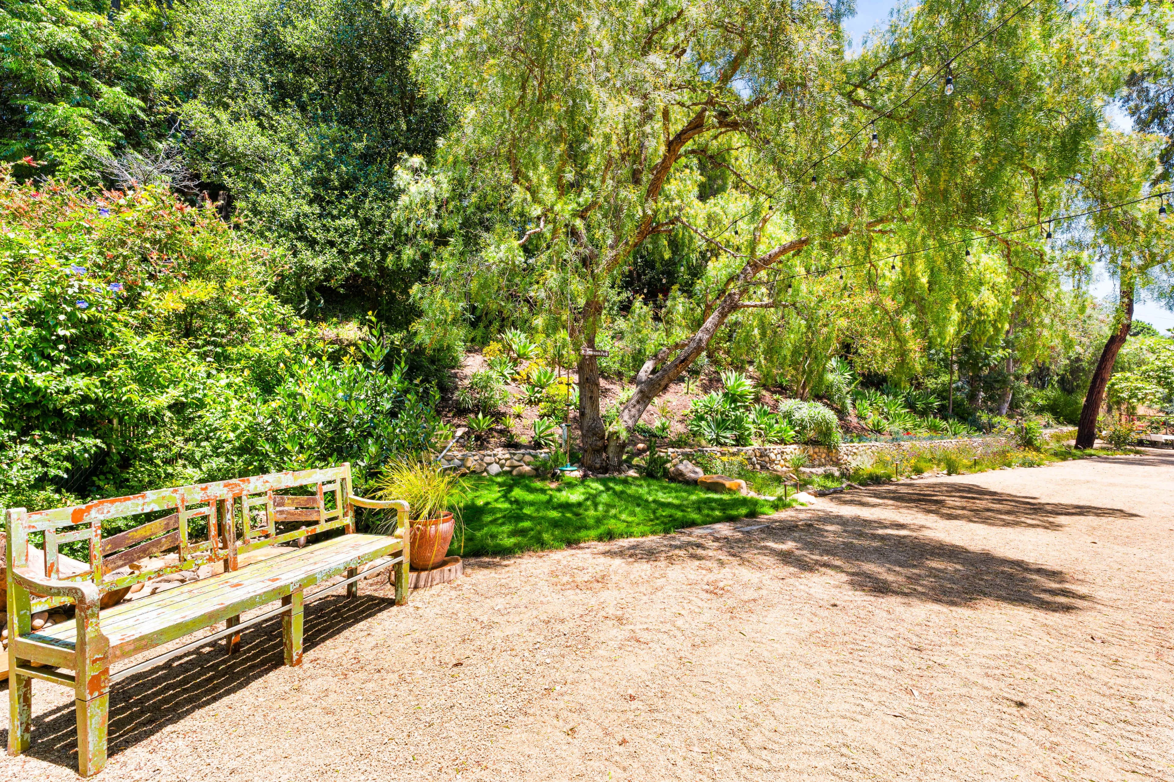 A weathered wooden bench sits on a gravel pathway beside a lush garden and a large tree.