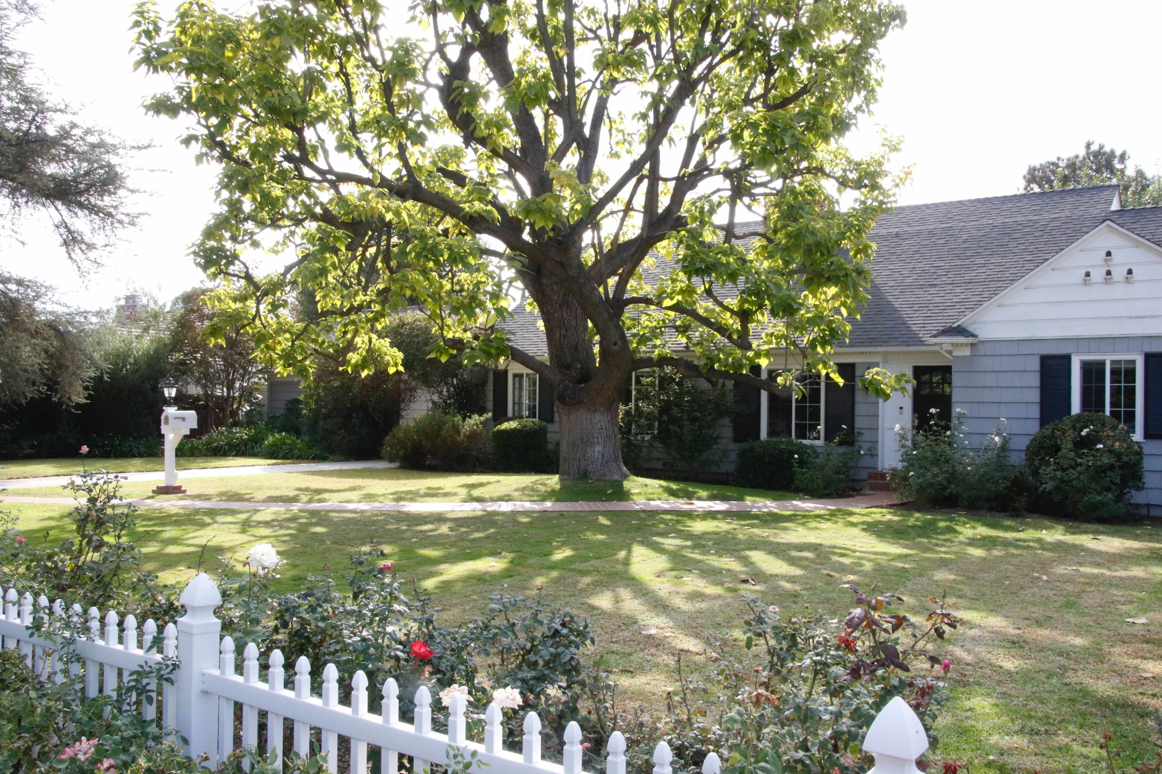 A large tree stands in the front yard of a single-story house with gray siding and white trim, surrounded by a white picket fence and well-maintained landscaping.