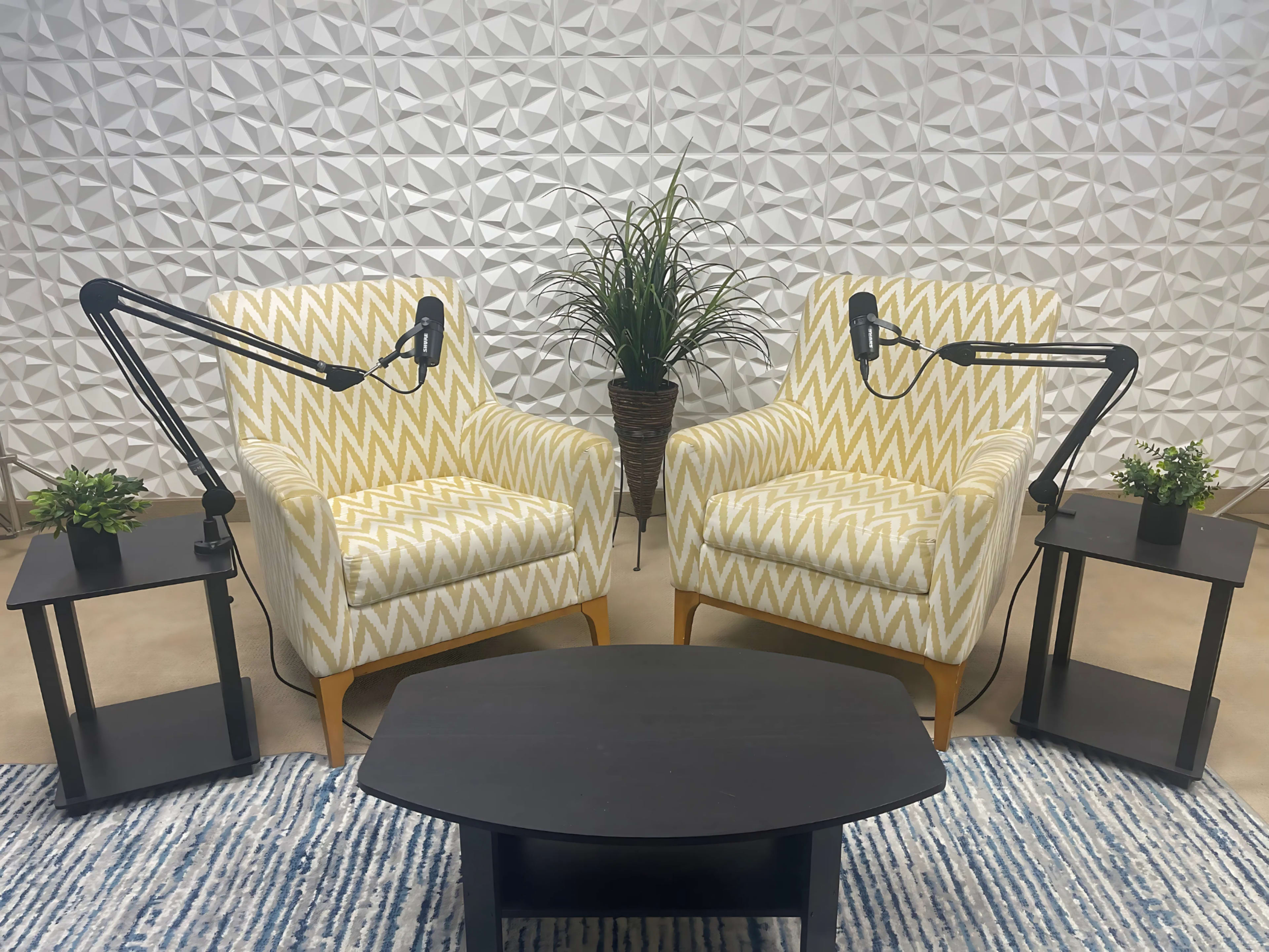 Unique Podcast Studio Image in Paradise Valley Village, Phoenix, AZ