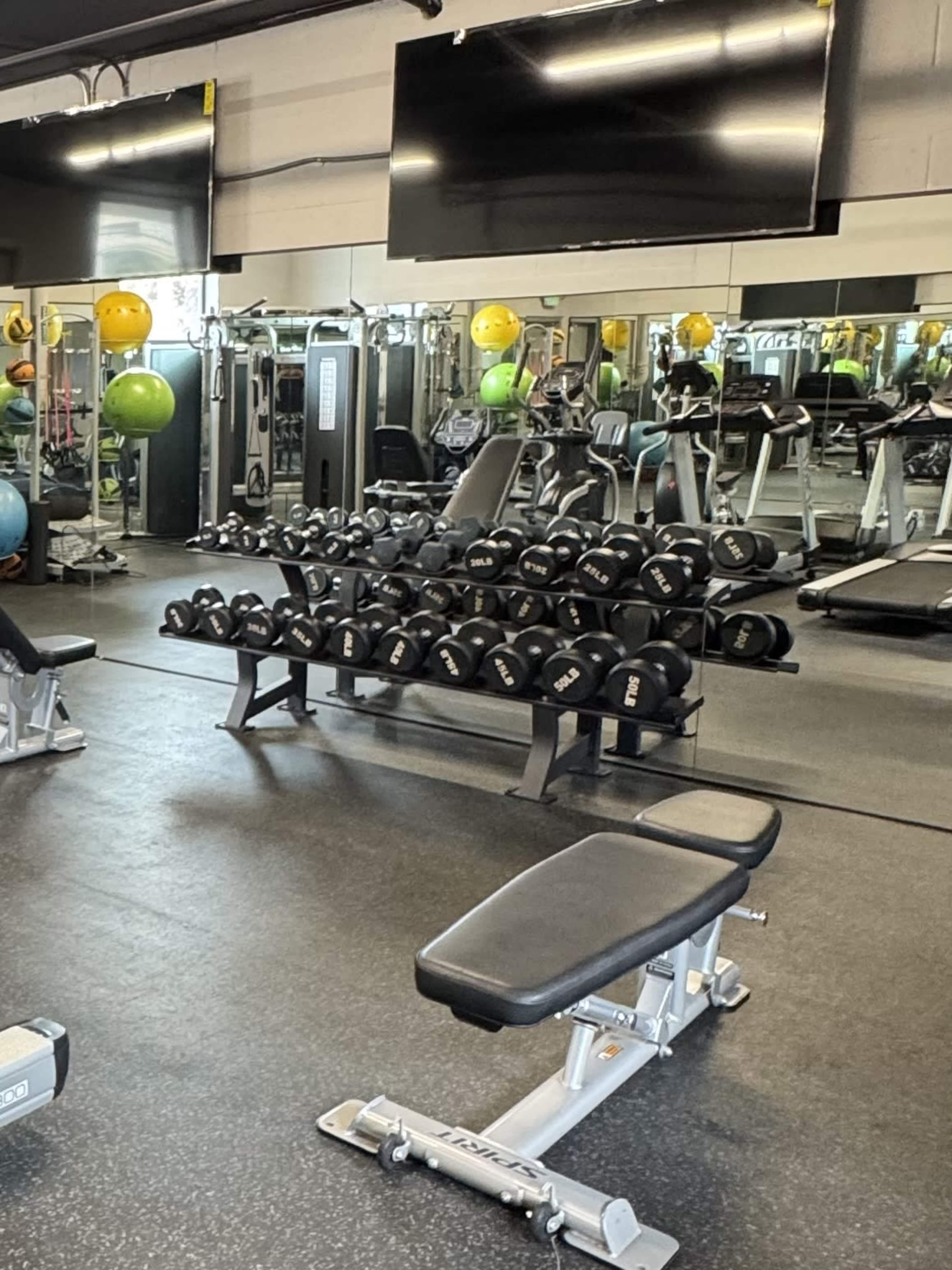 The image shows a gym interior with various workout equipment, including dumbbells on a rack and exercise machines in a mirrored environment.
